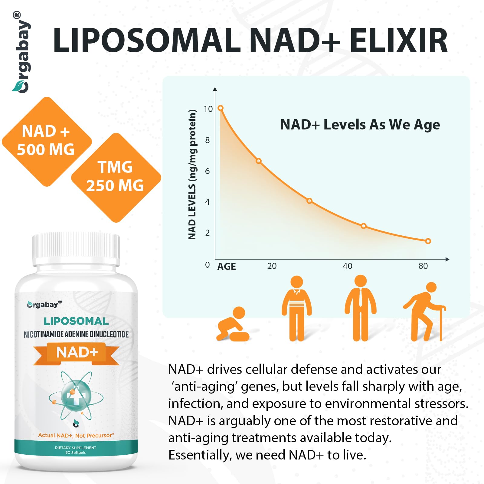 Orgabay Liposomal NAD+ Supplement 500 mg, High Absorption, Boost NAD+ with TMG 250 mg, Actual NAD Plus More Efficient Than Nicotinamide Riboside, Support Cellular Energy, Healthy Aging | 240 Softgels Orgabay Au supplements