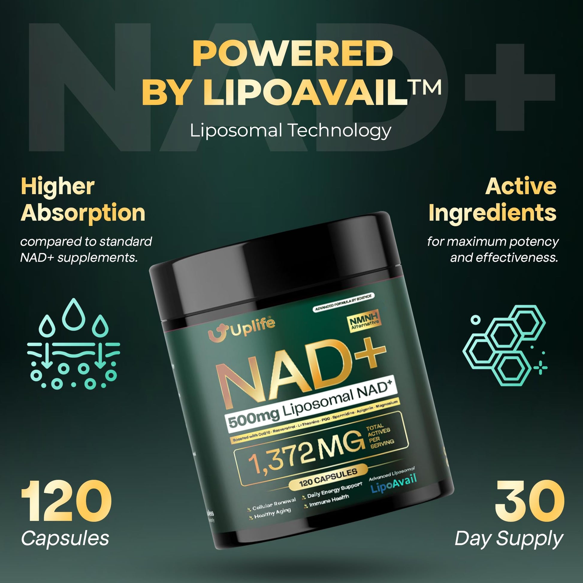 UPLIFE NAD+ Supplement 1,372mg – Liposomal NAD+ with CoQ10, Resveratrol, Spermidine, L-Theanine, Apigenin & PQQ – NMNH Alternative Booster Cellular Energy, Healthy Aging, Immune Health – 120 Capsules UPLIFE Au supplements