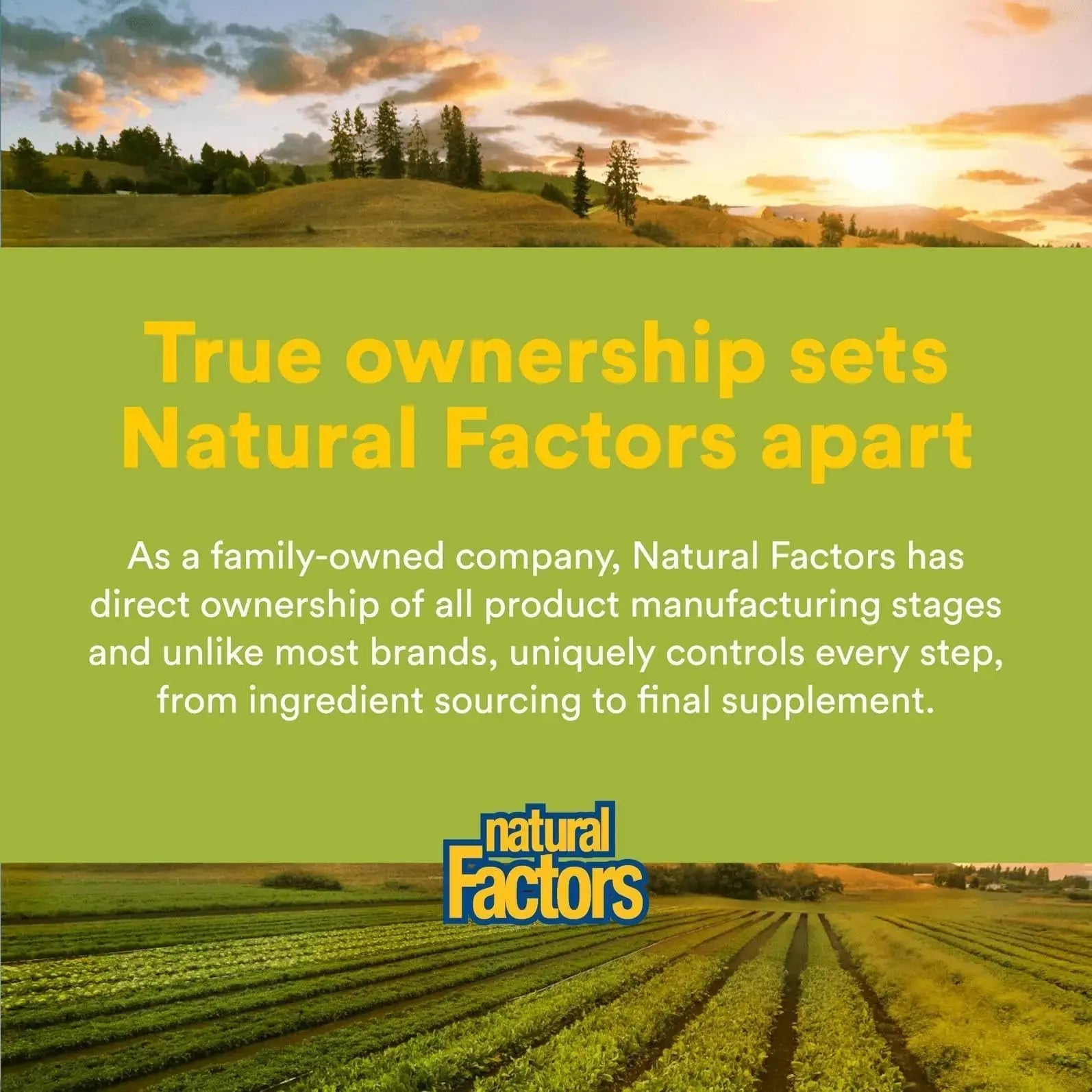 Natural Factors Whole Earth & Sea Men's Multivitamin s& Mineral, 1 Serving Contains Nutrition Equivalent to ½ lb of Veggies, 120 Tablets Natural Factors Au supplements