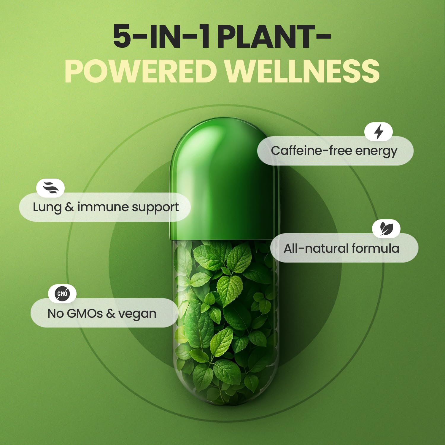 Moringa Capsules, Beet Root, Mullein Leaf - Energy, Skin, Immune Supplement Superfood, Rich in Antioxidants, Minerals & Essential Vitamins - High Absorption Non-GMO - Made in USA - 60ct Vitamax Au supplements