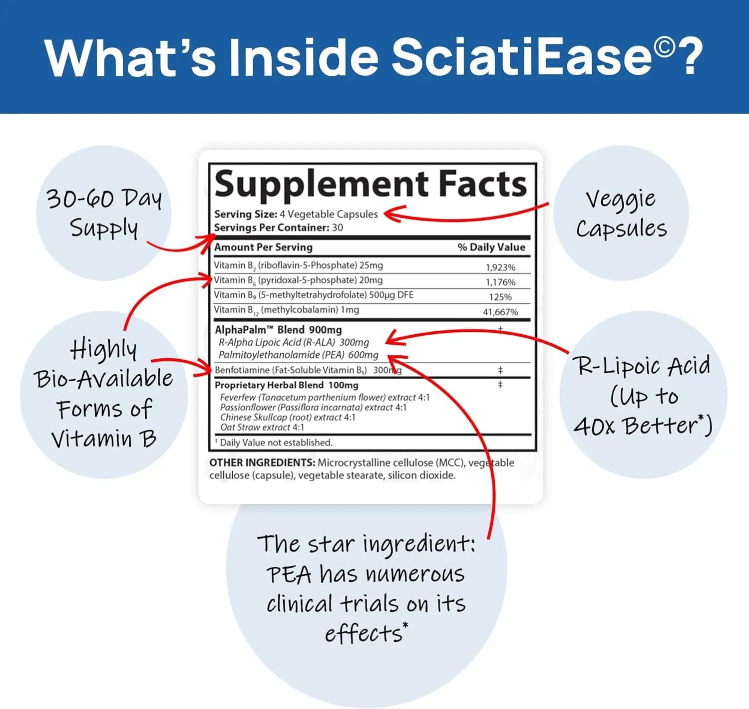 SciatiEase Sciatic Nerve Health Support Sciatic Nerve Supplement SciatiEase Au supplements