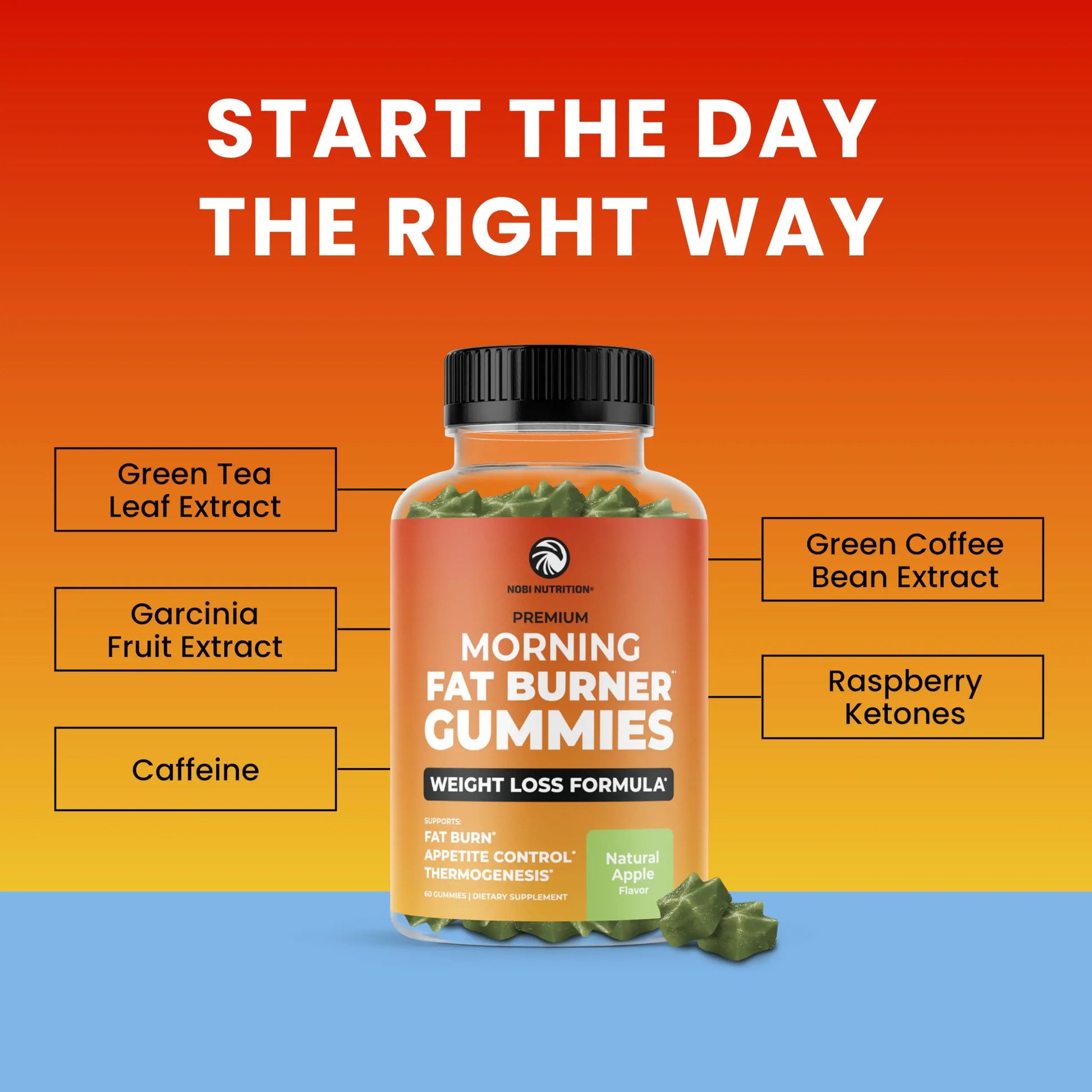 Morning Fat Burner Gummies for Weight Loss for Women & Men | Thermogenic Belly Nobi Nutrition Au supplements