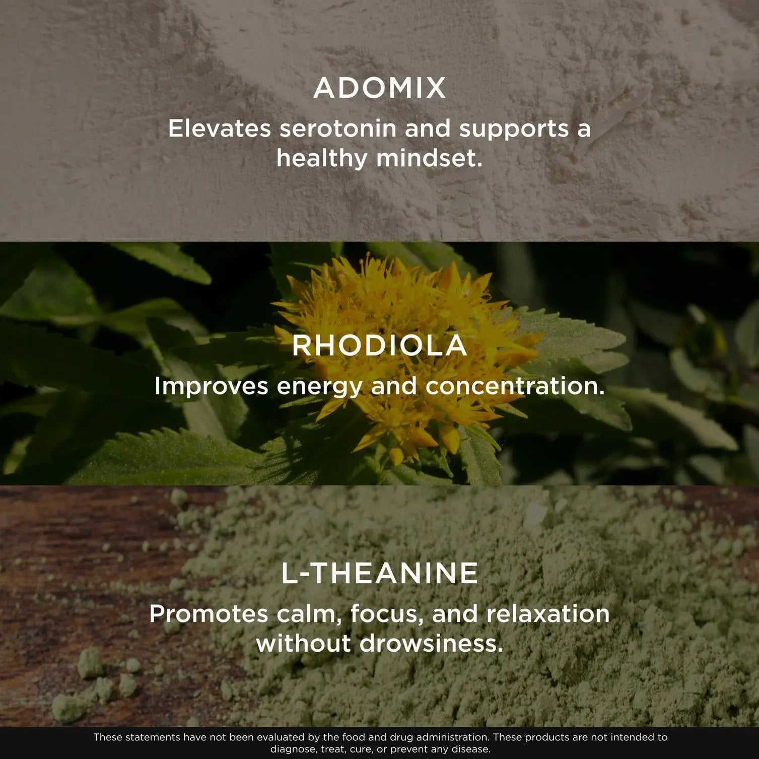 Genius Joy, Nootropic Mood Enhancer Supplement - Support Cognitive Health, Enhance Mood & Neural Function with Brain Boosting L-Theanine, Panax Ginseng & SAM-e - Organic, Non-GMO, & Gluten-Free The Genius Brand Au supplements