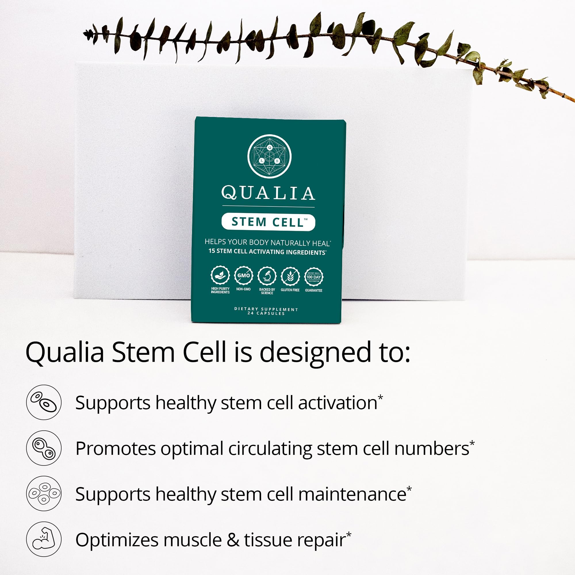 Qualia Stem Cell — Stem Cell Supplement Support with Royal Jelly, Astragalus & Sea Buckthorn | 16 Ingredients | 4 Days a Month | Helps Body Naturally heal* QUALIA LIFE SCIENCES Au supplements