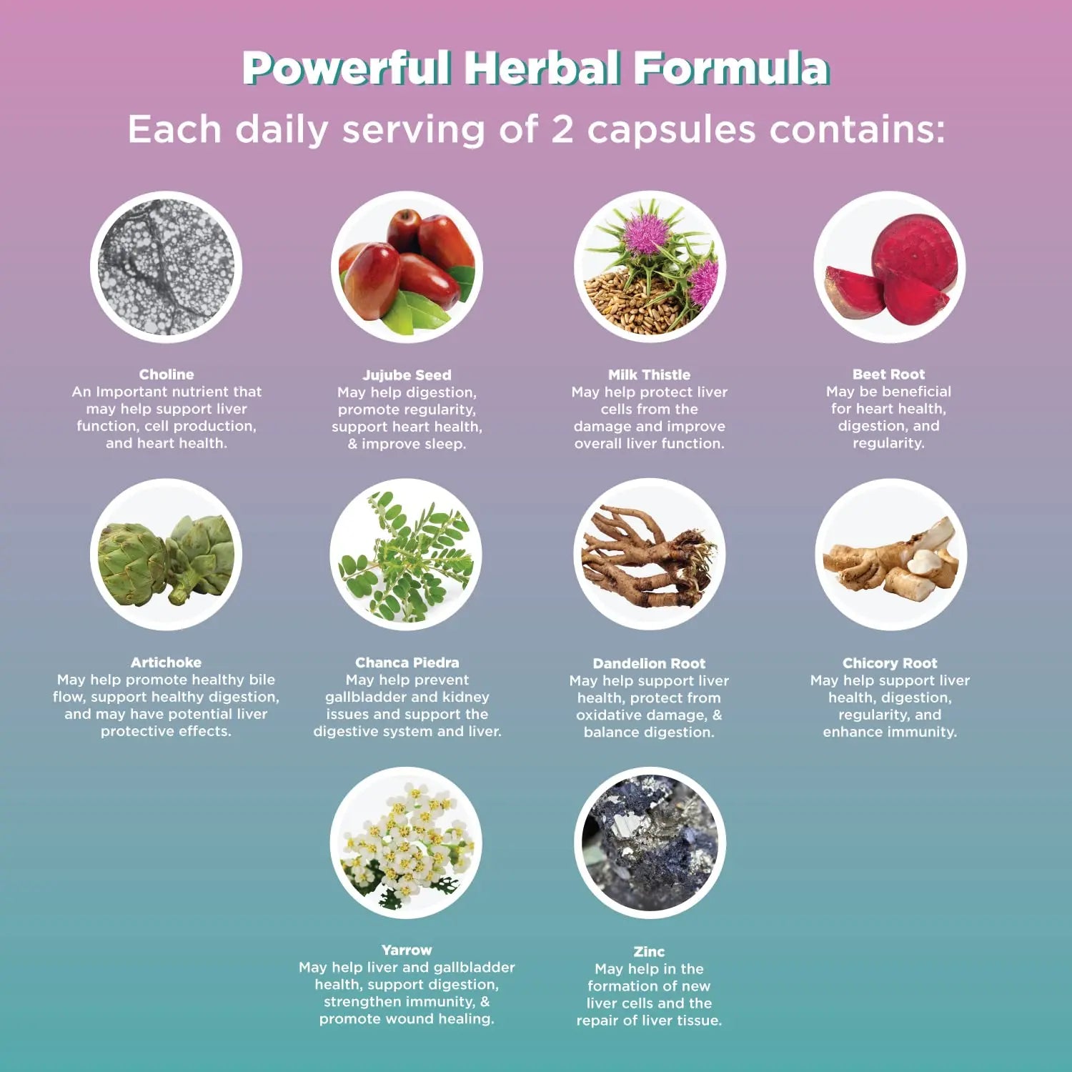 Liver Cleanse Detox & Repair Formula - Herbal Liver Support Supplement Natures Craft Au supplements