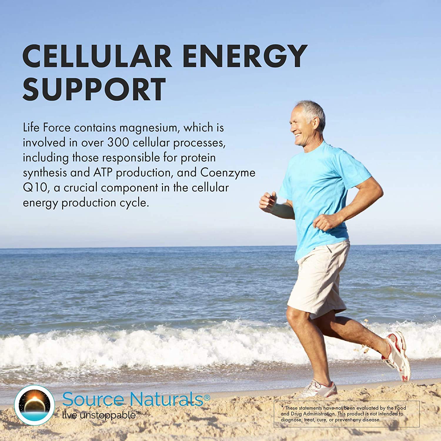 Source Naturals Life Force Multiple Daily Multivitamin High Potency Essential Vitamins, Minerals, Antioxidants & Nutrients - Energy & Immune Boost - 30 Tablets Source Naturals Au supplements