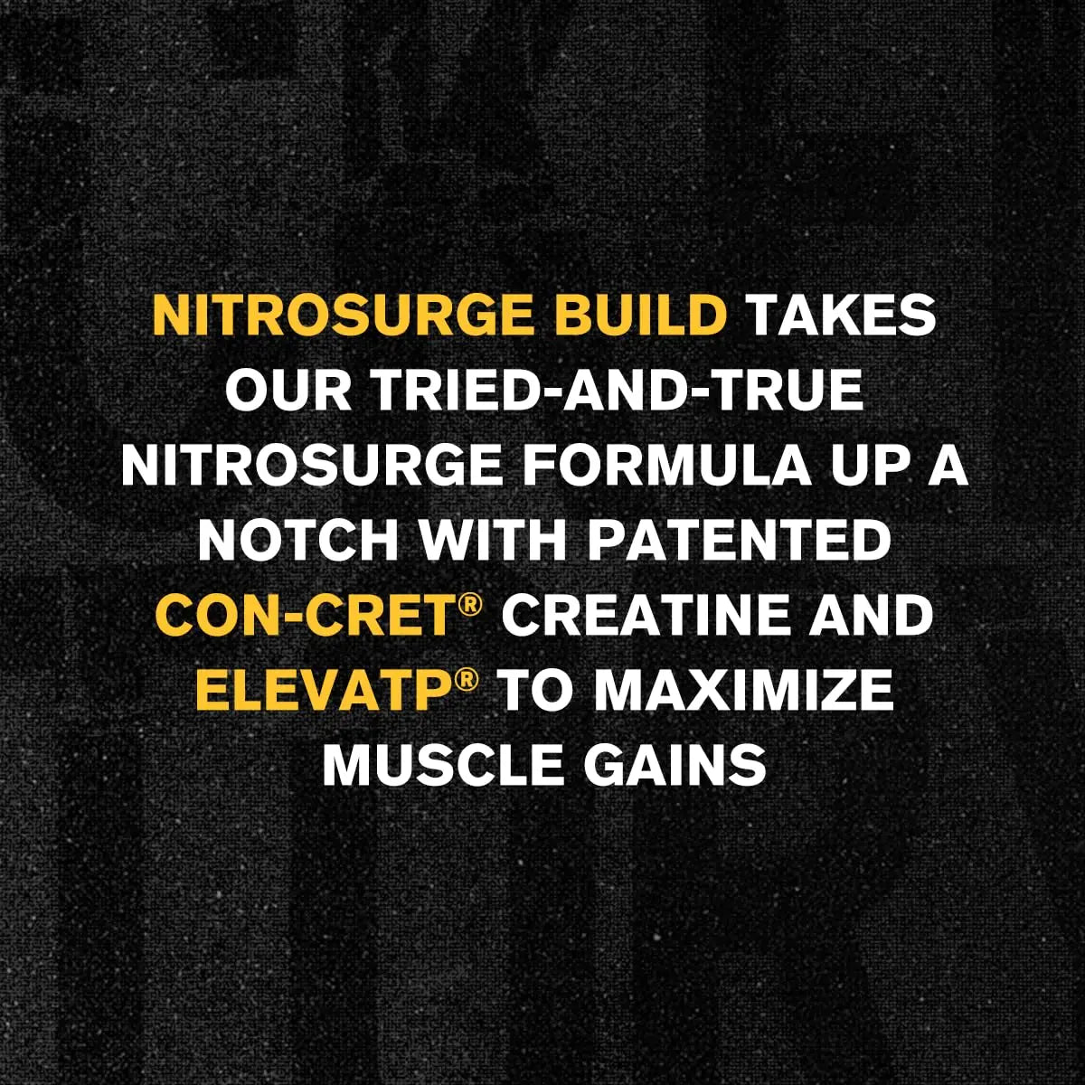 Jacked Factory Nitrosurge Build Pre Workout with Creatine for Muscle Building - Con Cret Creatine Powder & elevATP for Intense Energy, Powerful Pump, Jacked Factory Au supplements