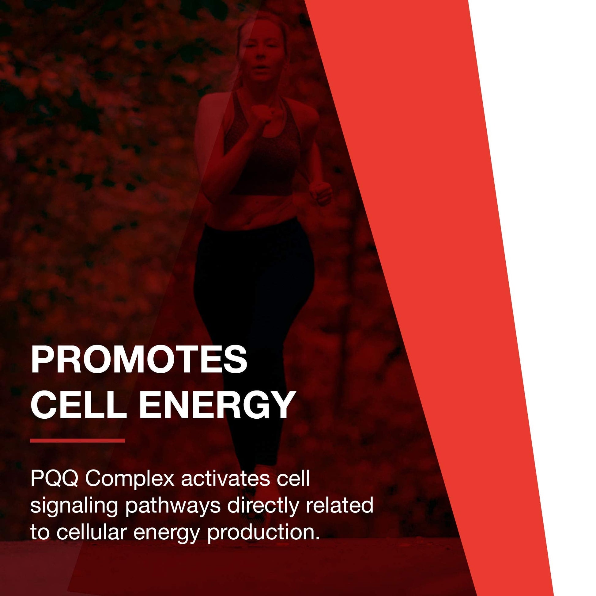 PROTOCOL FOR LIFE BALANCE PQQ Complex - Mitochondrial Health - with CoQ10 & L Carnitine - B Vitamin - Supplement for Energy - 30 Veg Caps PROTOCOL FOR LIFE BALANCE Au supplements