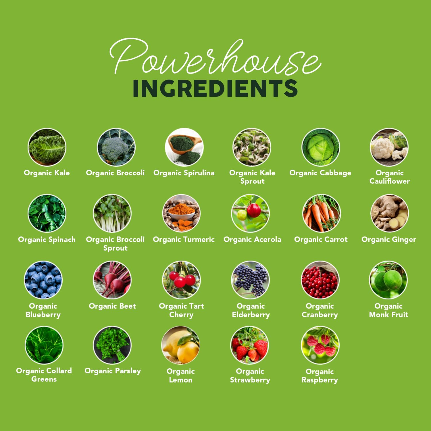 Paleovalley Organic Supergreens Powder - 23 Superfoods with Prebiotic Fiber for Energy and Immunity Support - No Cereal Grasses for Maximum Absorption - Pure Unflavored, 30 Servings Paleovalley Au supplements