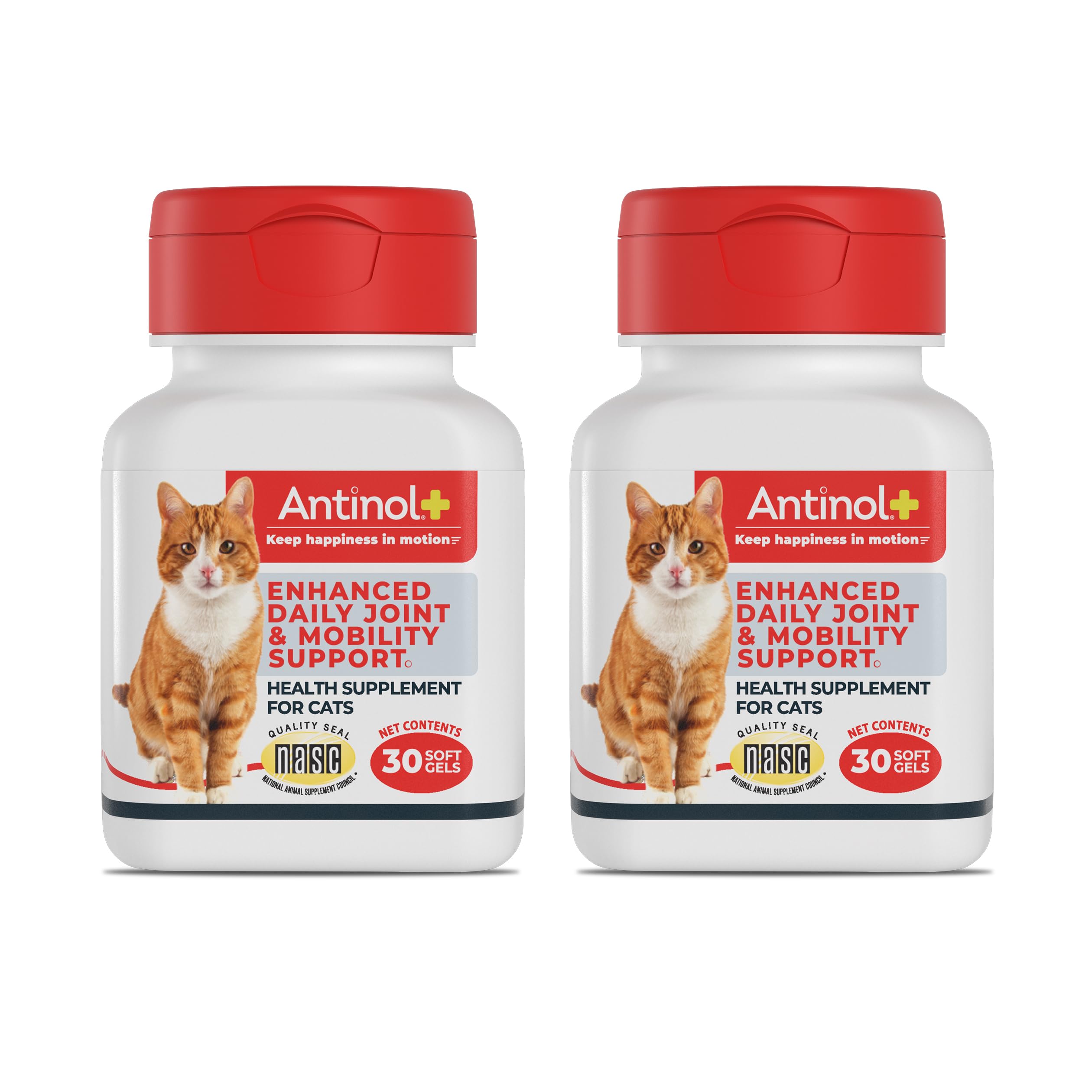 Antinol Plus, Mobility, Hip, and Joint Supplement for Cats, Green-Lipped Mussels and Krill Oil - Cat Joint Supplement, 60 Soft Gels Antinol Au supplements