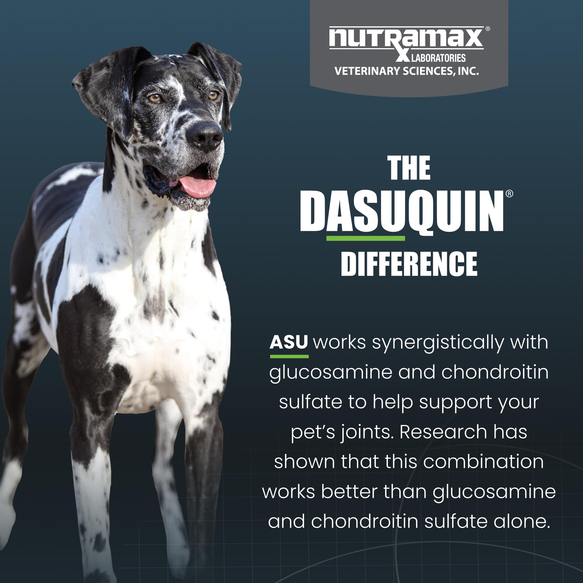 Nutramax Dasuquin for Large Dogs, Joint Health Supplement, Contains Glucosamine for Dogs, Plus Chondroitin, ASU, MSM and More, Supports Healthy Joints, Chewable Tablets, 150 Count Nutramax Laboratories Au supplements