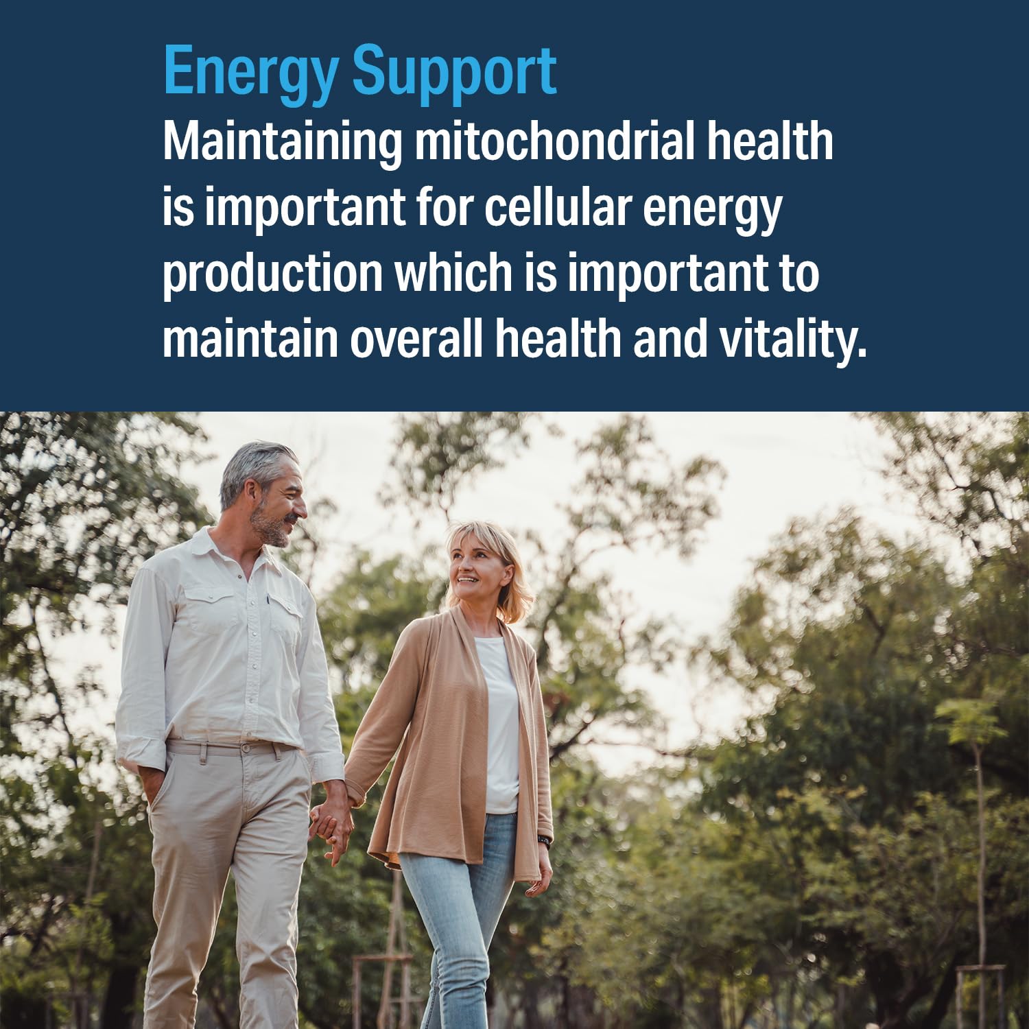 Advanced Bionutritionals – Advanced Mitochondrial Formula Support Supplement, Healthy Aging, Repair, Energy Optimizer with CoQ10, PQQ, Alpha Lipoic Acid, Gluten Free, Vegan, Non GMO (60 Tablets) Advanced Bionutritionals Au supplements