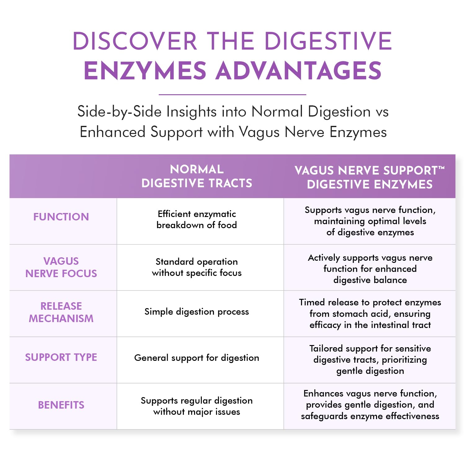 TJ Nutrition Digestive Enzymes for Sensitive Stomachs - Supports Vagus Nerve, Vegetarian Pancreatic Support, Timed Release Formula for Optimal Gut Health, Enhances Food Digestion & Gut Flora TJ Nutrition Au supplements