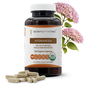 Secrets of the Tribe Hydrangea USDA Organic Capsules | Certified Organic Vegetarian Capsules, Herbal Dietary Supplement | Hydrangea arborescens Dried Root (120 Count) Secrets of the Tribe Au supplements