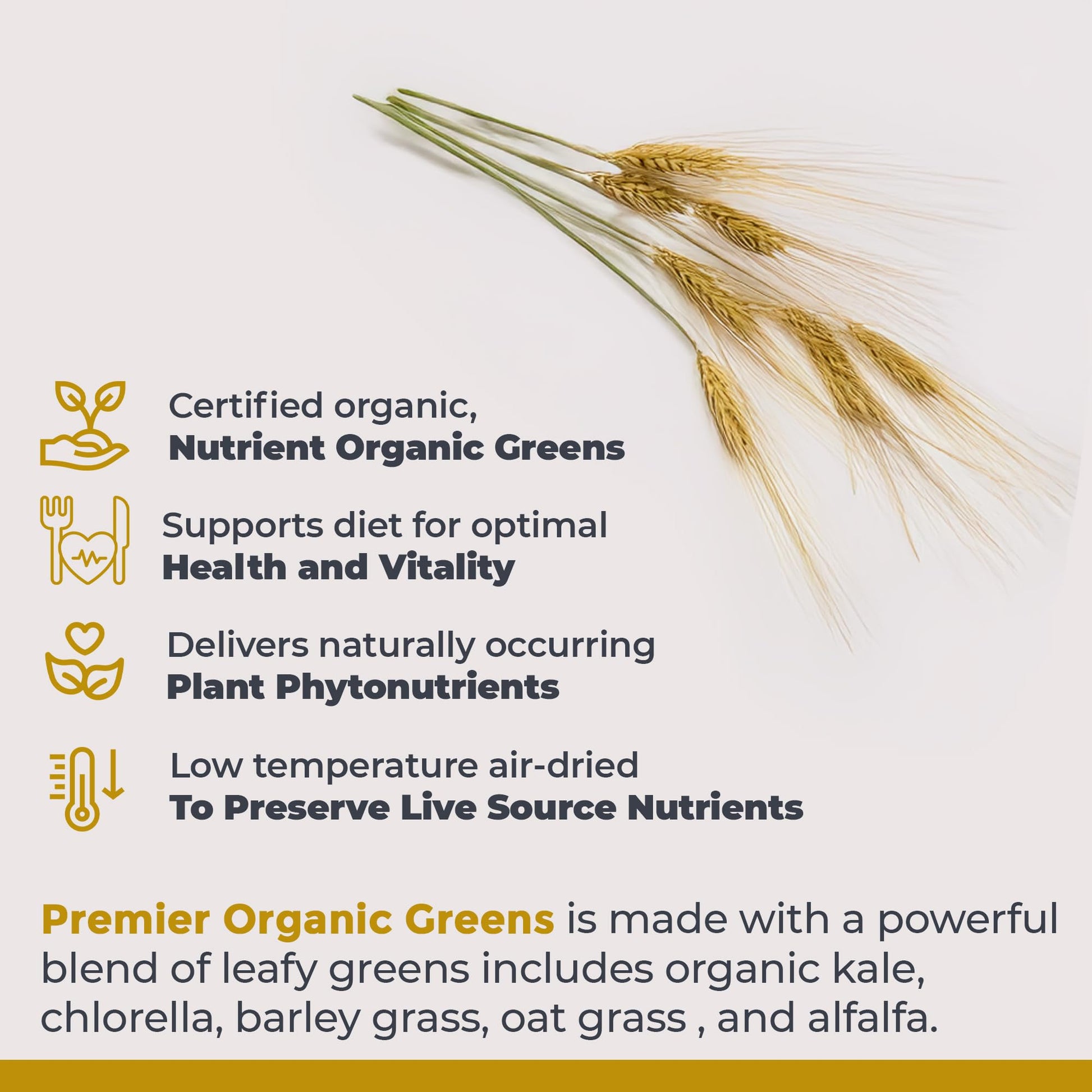 Premier Research Labs Premier Organic Greens - Super Greens Powder, Greens Superfood Powder for Drinks, Green Juice, Nutrition Support, Supergreens for Men & Women, Spinach, Alfalfa, Chlorella - 10 oz Premier Research Labs Au supplements
