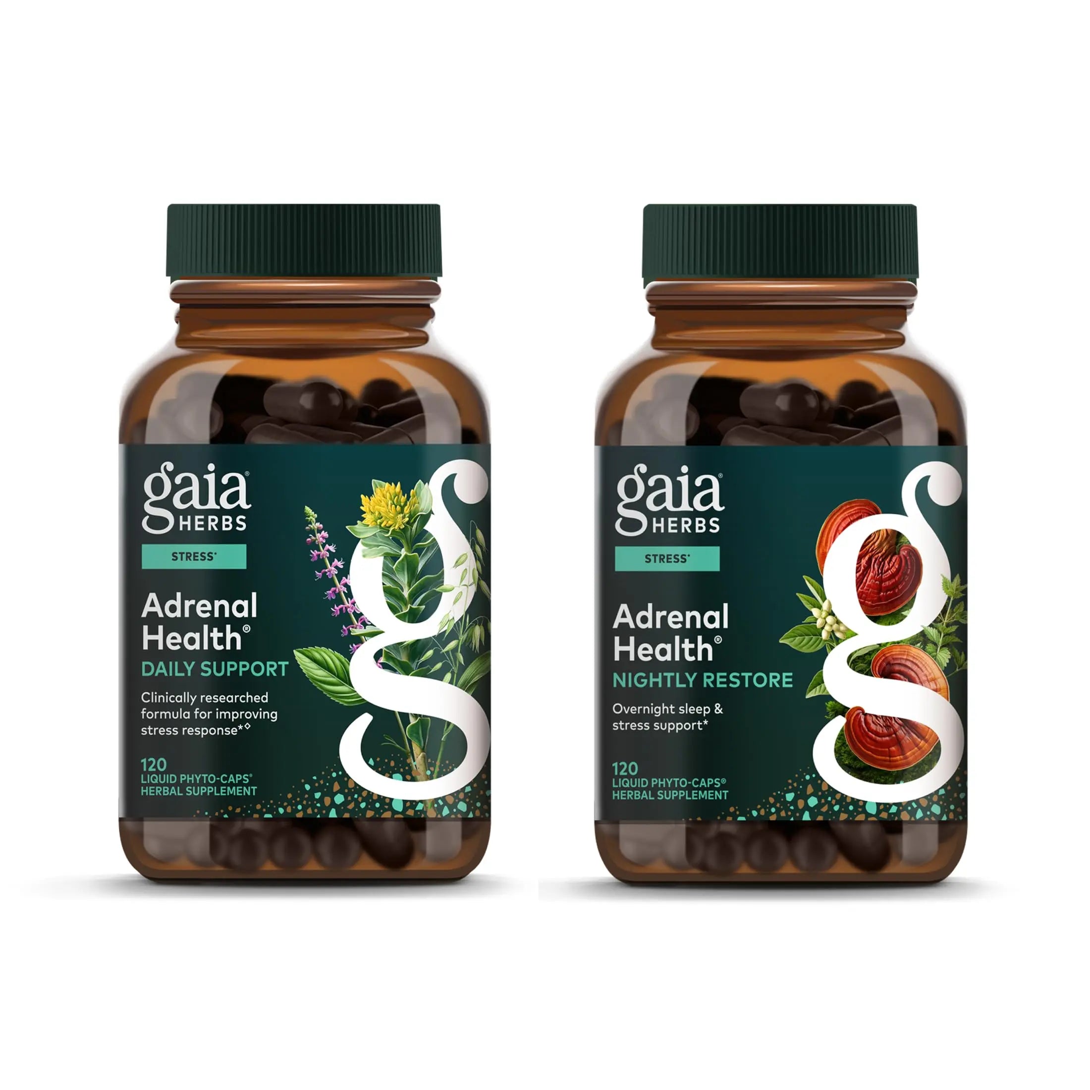 Gaia Herbs Adrenal Health Daily Support, Help Maintain Healthy Energy & Stress Levels*,120 Liquid Phyto-Caps Adrenal Health Nightly Restore, 120 Liquid Phyto-Caps - Bundle Gaia Herbs Au supplements