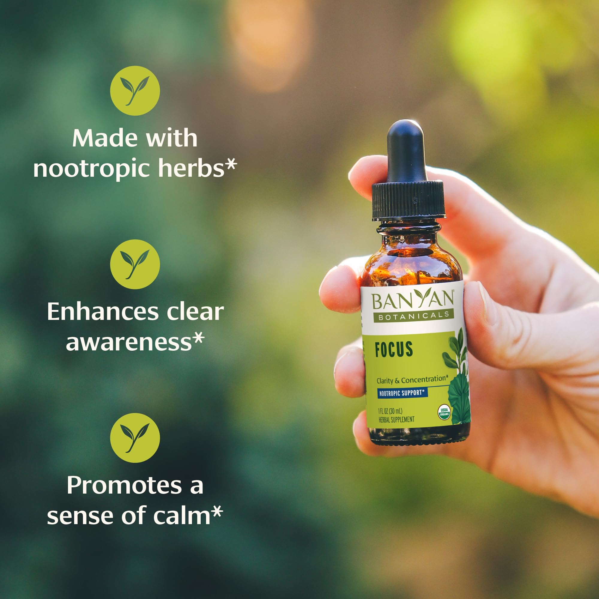 Banyan Botanicals Focus Liquid Extract – Organic Focus Supplement – Liquid Extract in Non-Alcoholic Glycerin – Nootropic Herbs for Fast-Acting Support* – 1 oz. – Non-GMO Sustainably Sourced Vegan Banyan Botanicals Au supplements