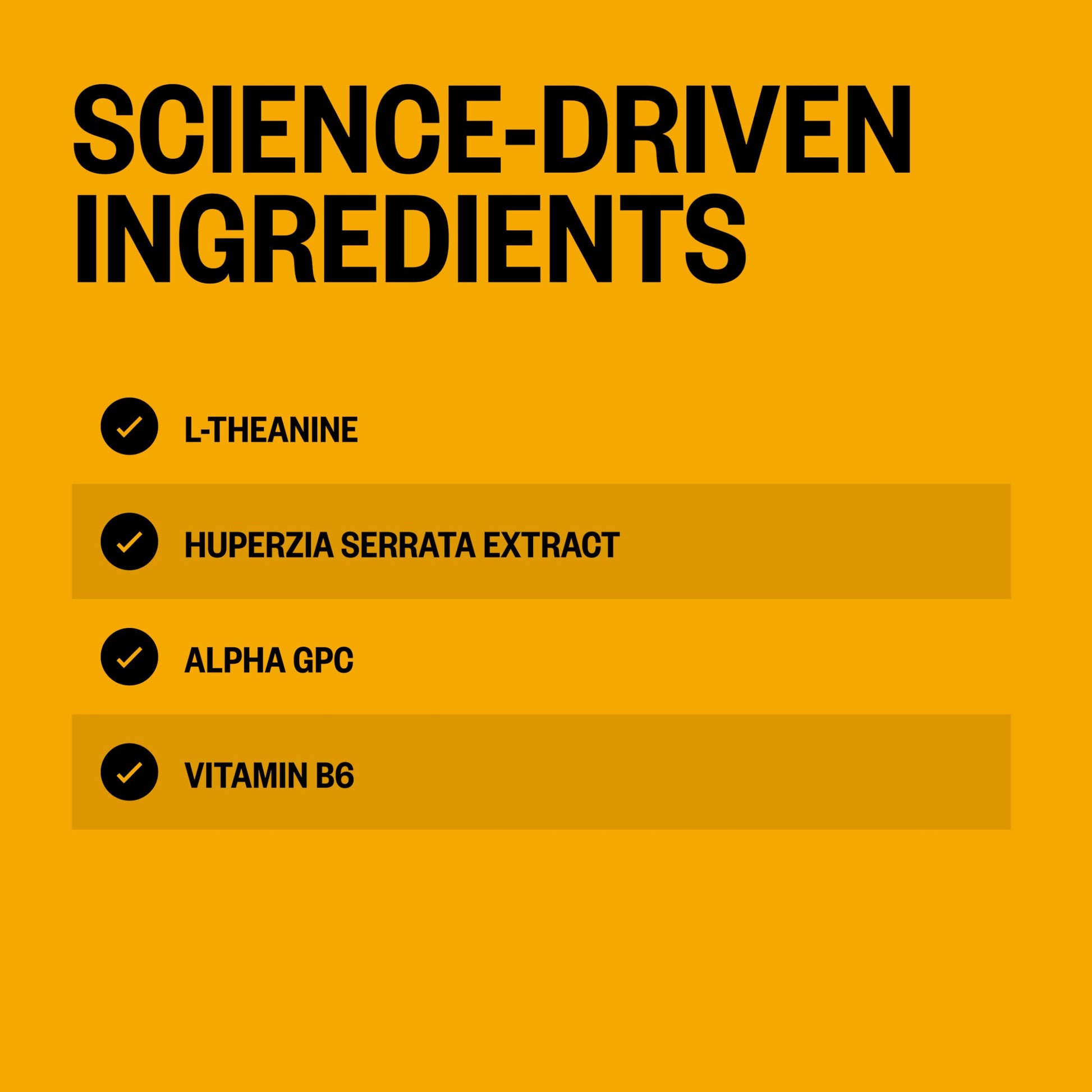 ONNIT Alpha Brain Instant Cognitive Support Drink Mix, Nootropic Supplement for Focus, Memory and Clarity, Peach Flavor, 0.13 oz Packets, 30 Count ONNIT Au supplements