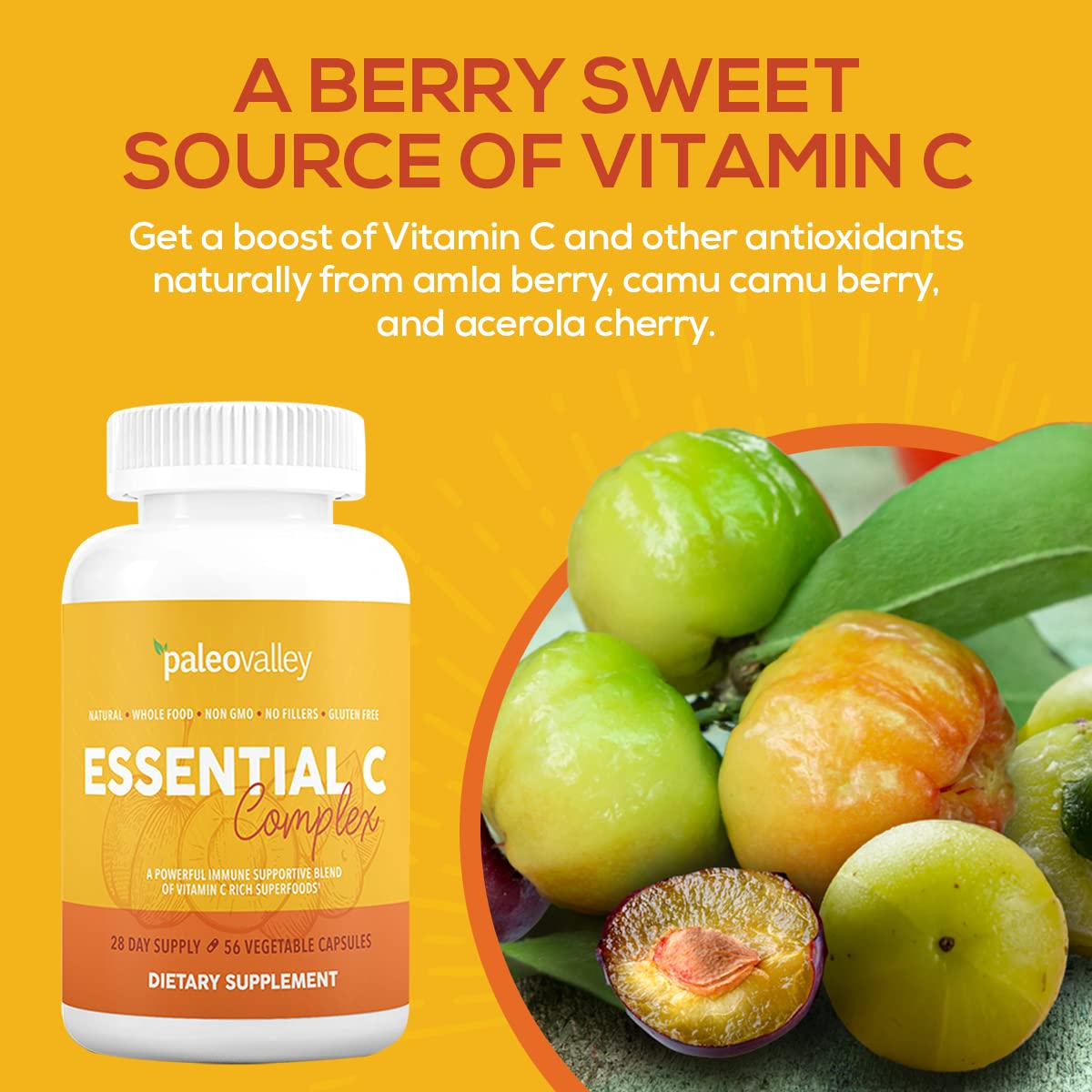 Paleovalley Essential C Complex - Vitamin C Supplement for Immune Support - 1 Pack, 450mg - Organic Superfoods Unripe Acerola Cherry, Camu Camu, Amla Berry Paleovalley Au supplements