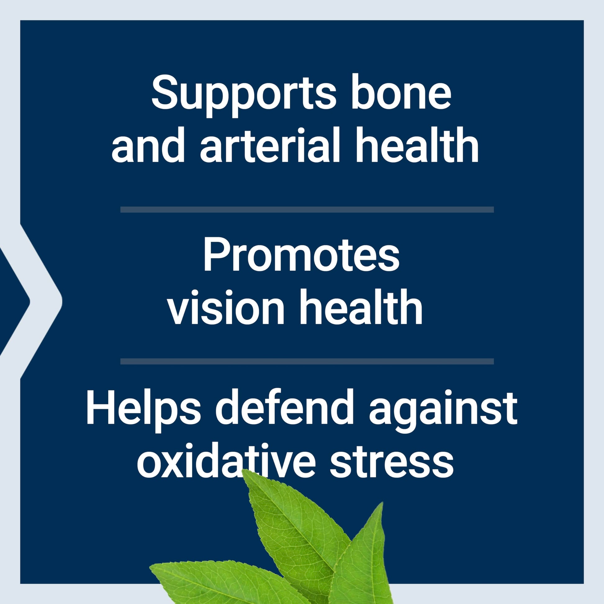 Life Extension Once-Daily Health Booster, Vitamins E, K1 & K2, phospholipids, Fat-Soluble nutrients for Eye Health, Bone Health, Heart Health, Gluten-Free, 1 Daily, Non-GMO, 30 softgels Life Extension Au supplements