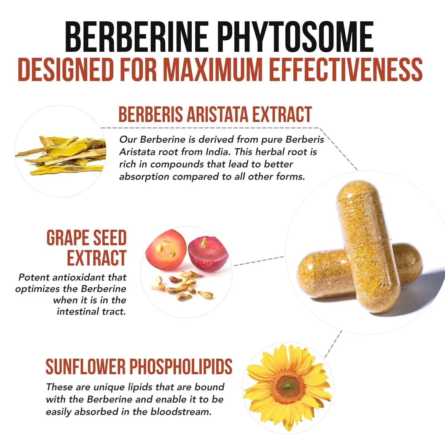 SoActive Berberine 550mg: 9.6X Higher Absorption, Clinically Proven Most Effective Triquetra Health Au supplements