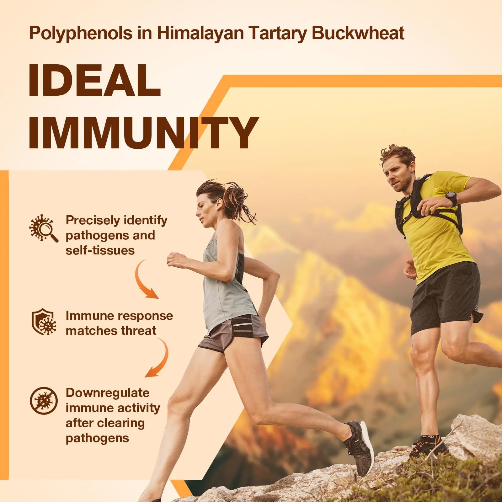 Nokuba Polyphenols Supplement for Immune Support | Himalayan Tartary Buckwheat Sourced | Polyphenol Superfood with Quercetin, Curcumin | Immune Booster, Antioxidant, Anti-inflammatory - 120 Capsules Nokuba Au supplements