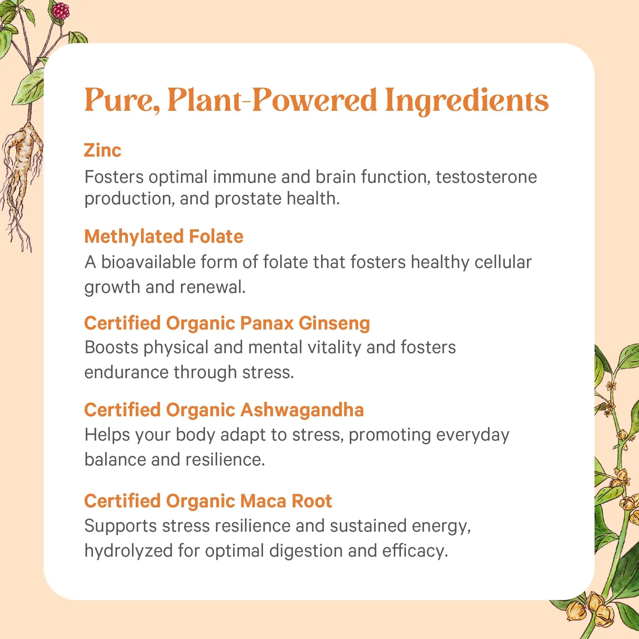 PURE SYNERGY Vita·Min·Vitality | Natural Multivitamin for Men | Men’s Daily Multivitamin Made with Organic Whole Foods | for Energy, Stress, and Immune Support (60 Tablets) PURE SYNERGY Au supplements