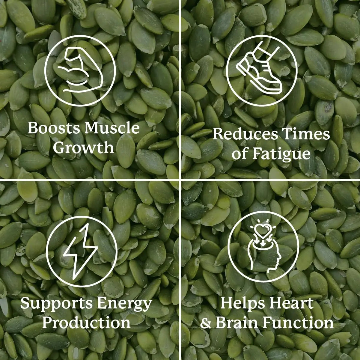 Nature’s Sunshine Magnesium Complex - High Potency Magnesium Supplement with Citrate & Malate for Relaxation, Optimal Absorption, Muscle Function, Energy Production - 50 Servings (100 Capsules) Nature's Sunshine Au supplements