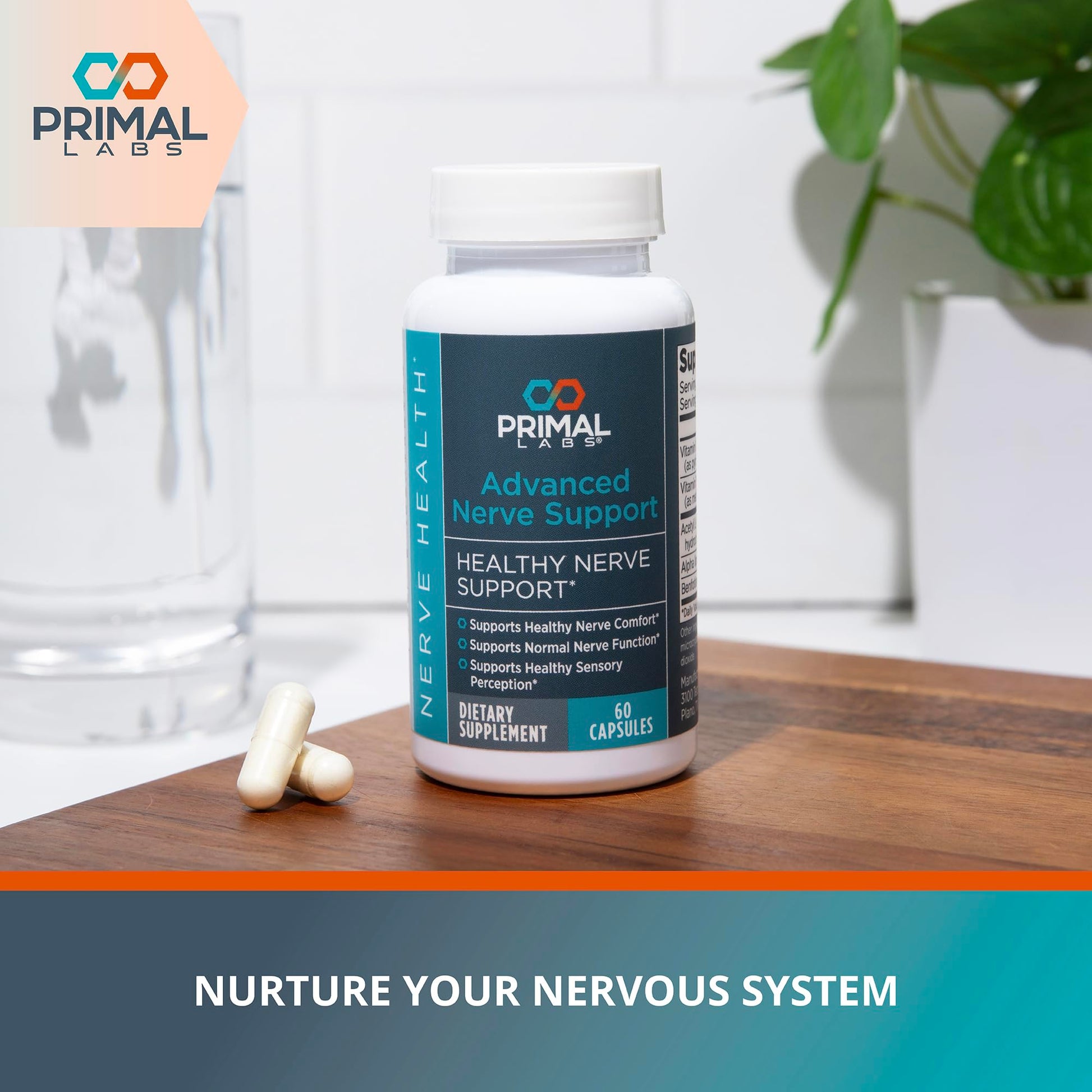 Primal Labs Nerve Support Capsules - Supports Nerve Health, Sensory Function & Comfort - Benfotiamine, Alpha Lipoic Acid, Acetyl L-Carnitine, Vitamins B6 B12-60 Count Primal Labs Au supplements