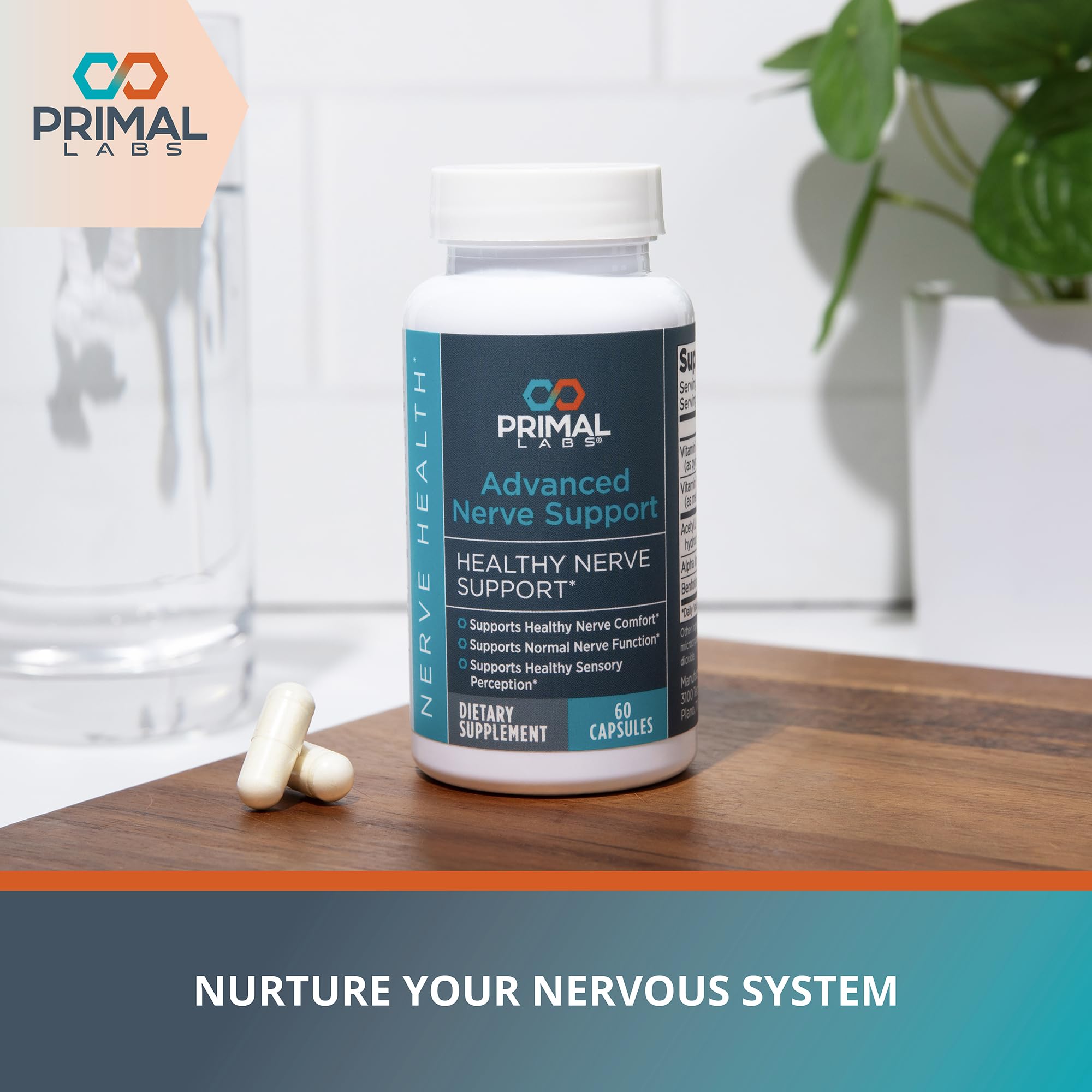 Primal Labs Nerve Support Capsules - Supports Nerve Health, Sensory Function & Comfort - Benfotiamine, Alpha Lipoic Acid, Acetyl L-Carnitine, Vitamins B6 B12-60 Count Primal Labs Au supplements