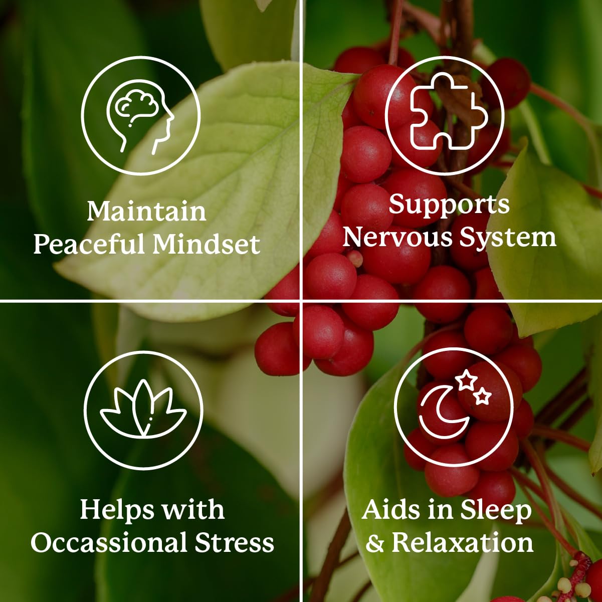 Nature's Sunshine Nutri-Calm- Herbal Stress Relief Supplement for Natural Relief, Mood Support and Boost, Nervous System Support - 100 Count Nature's Sunshine Au supplements