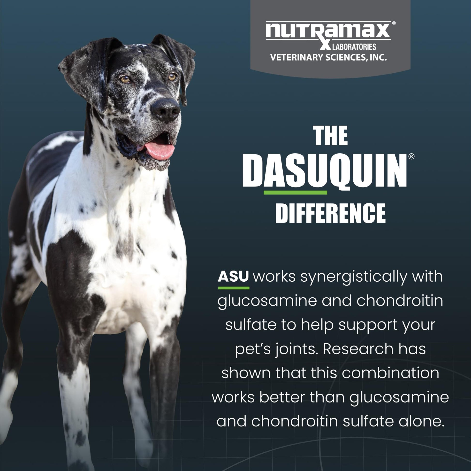 Nutramax Dasuquin for Large Dogs, Joint Health Supplement, Contains Glucosamine for Dogs, Plus Chondroitin, ASU and More, Supports Healthy Joints, Soft Chews, 150 Count Nutramax Laboratories Au supplements