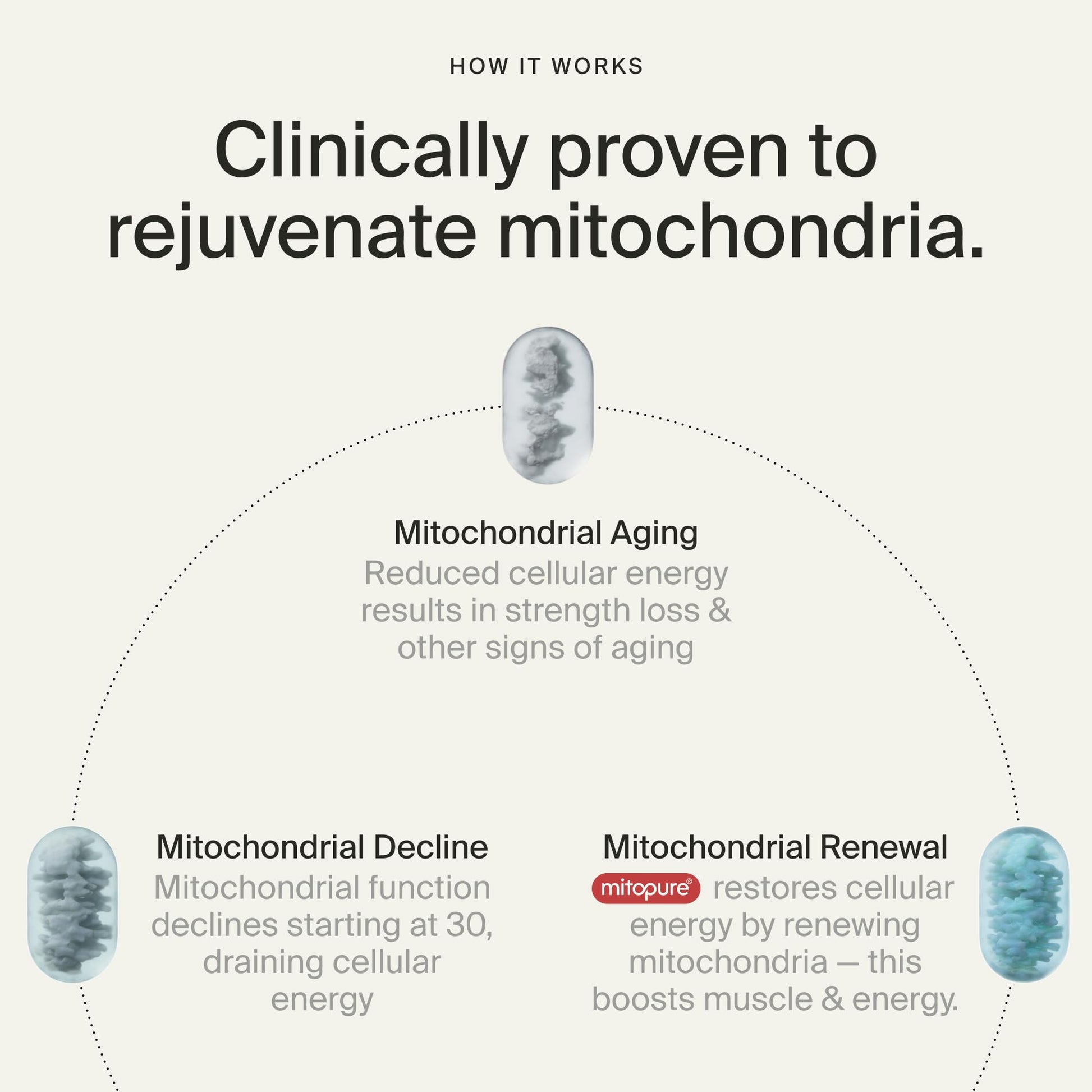Timeline Mitopure Urolithin A Supplement Gummies - Clinically Proven Support for Healthy Aging Cellular Energy Muscle Strength and Longevity Timeline Au supplements