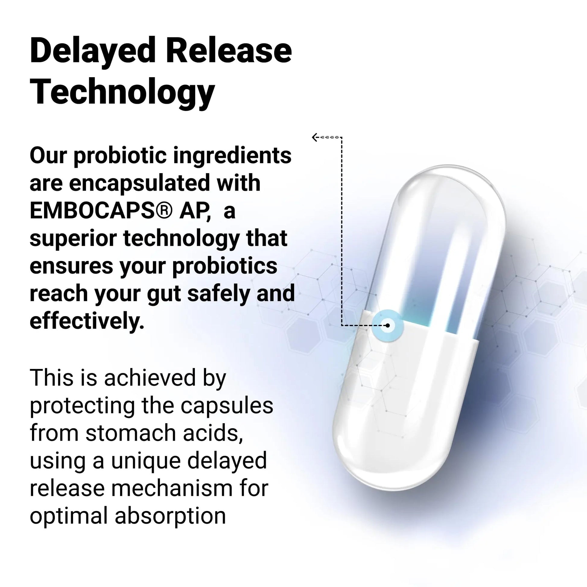 Dr. Berg 60 Billion Probiotic Supplement - Probiotics for Men & Women - Pre and Probiotics Dr. Berg Nutritionals Au supplements