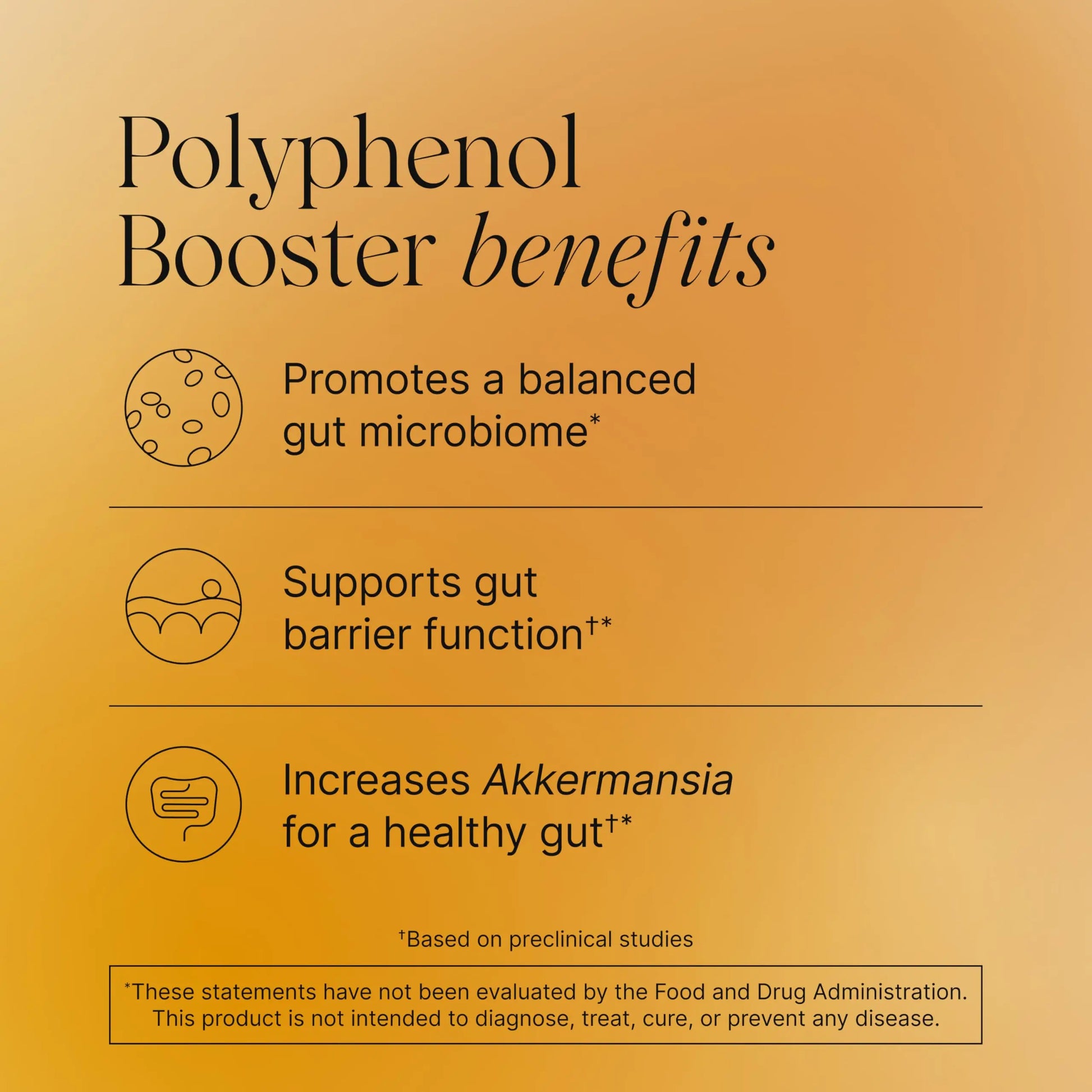 Pendulum Polyphenol Booster, Antioxidant from Superfoods, Beneficial Plant Compounds for Good Health, Helps Boost Akkermansia Muciniphila for Men & Women (60 Capsules, 1-Pack) Pendulum Au supplements