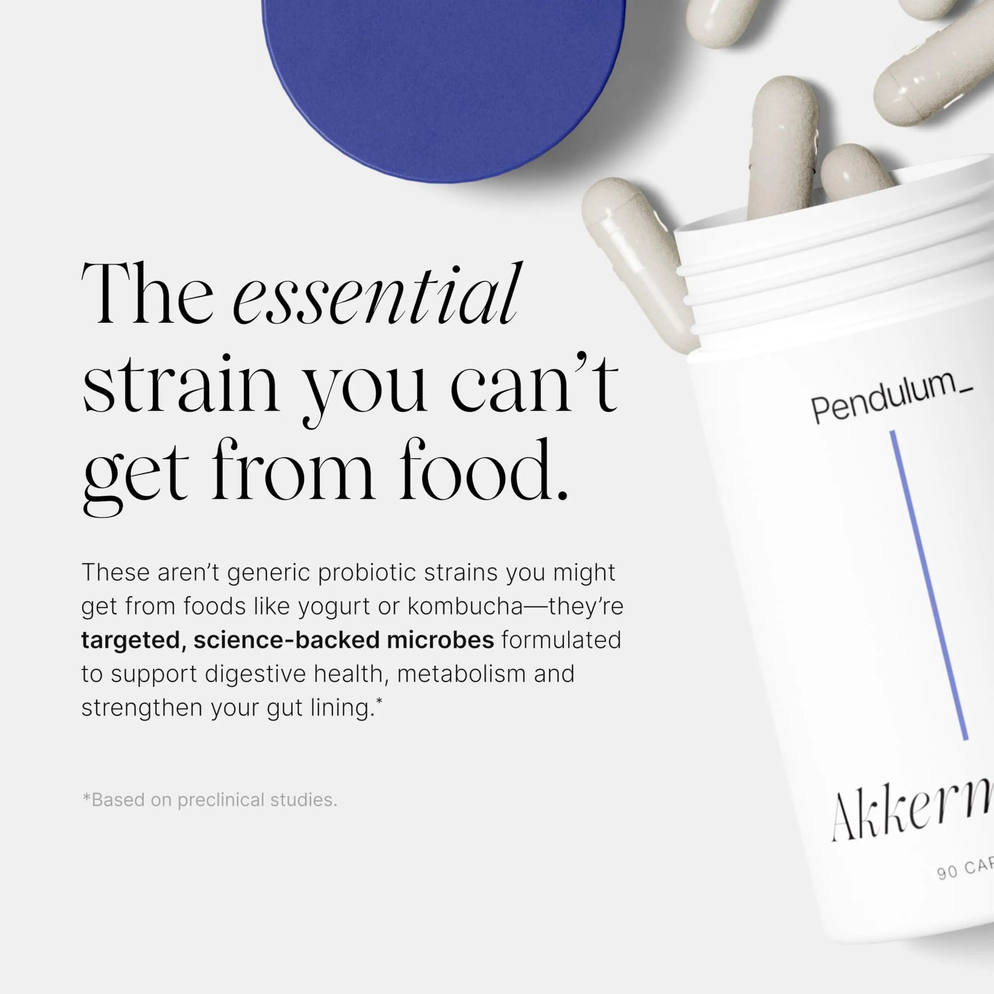 Pendulum Akkermansia Probiotic with Prebiotic Fiber - Delayed Release Capsules, Third-Party Tested, Authentic 100M AFU Live Strain for Gut Health Pendulum Au supplements