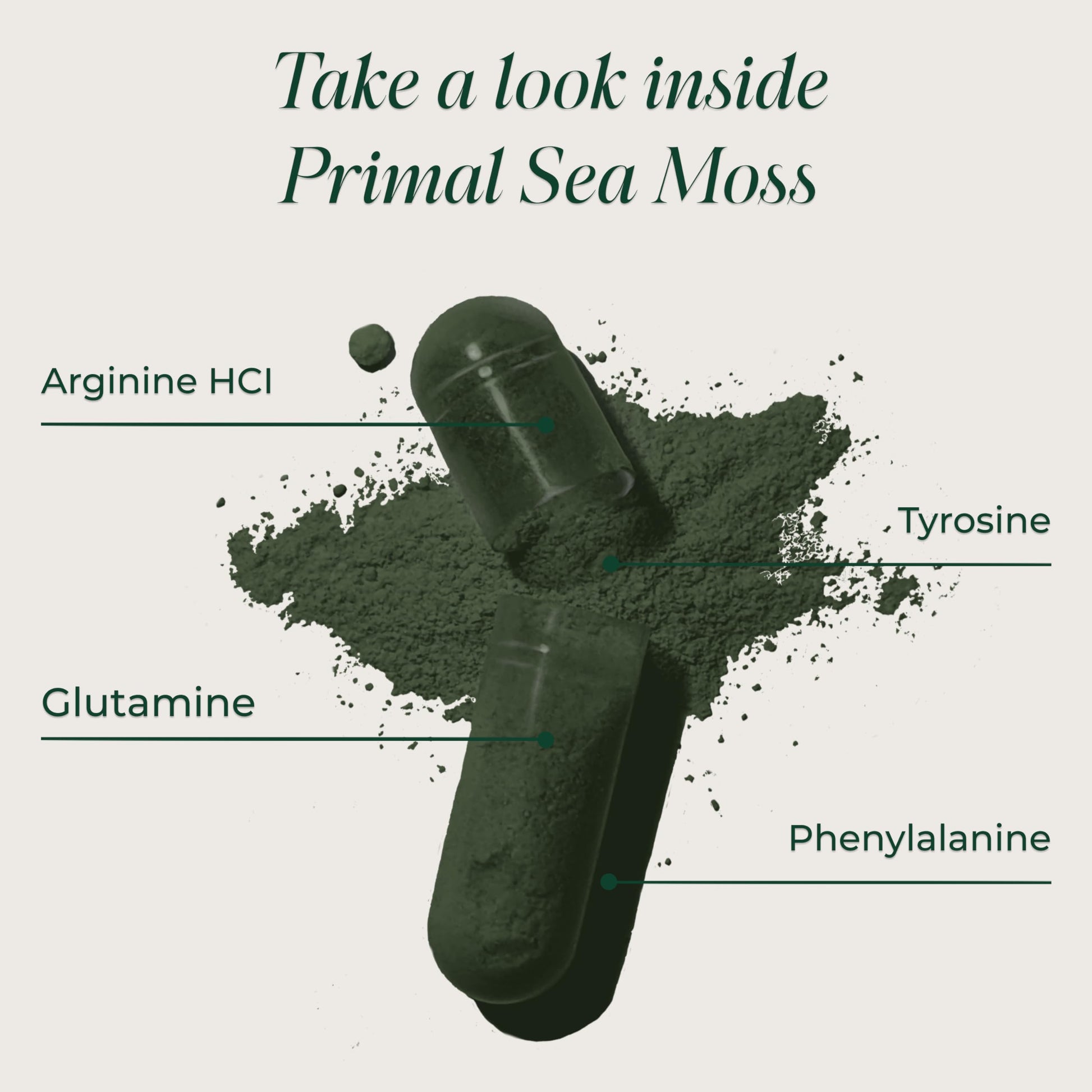 Primal Harvest Sea Moss Capsules with Bladderwack and Irish Sea Moss, Chlorella, Broccoli Seed Extract Plant-Based Supplements for Adults Primal Harvest Au supplements