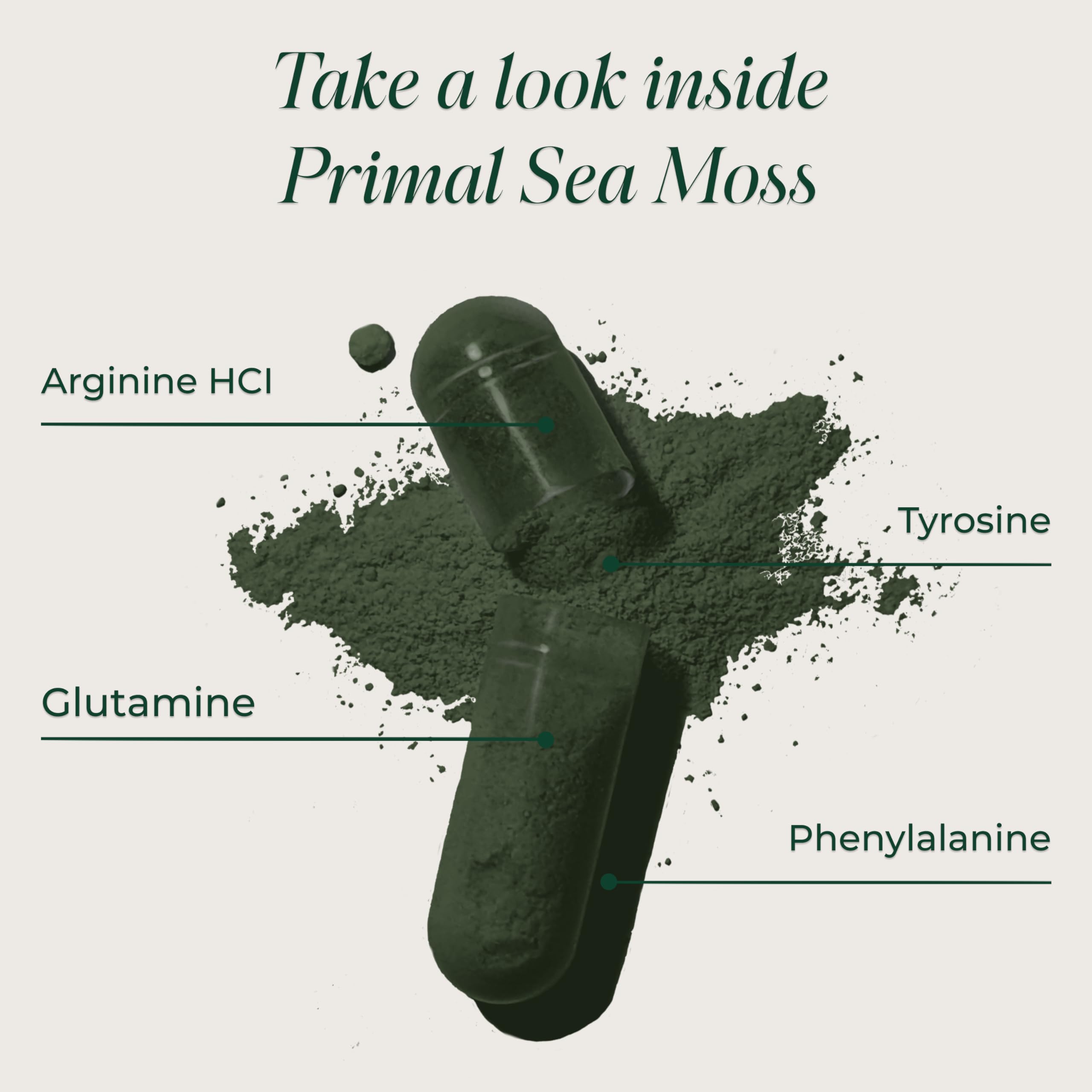Primal Harvest Sea Moss Capsules with Bladderwack and Irish Sea Moss, Chlorella, Broccoli Seed Extract Plant-Based Supplements for Adults Primal Harvest Au supplements