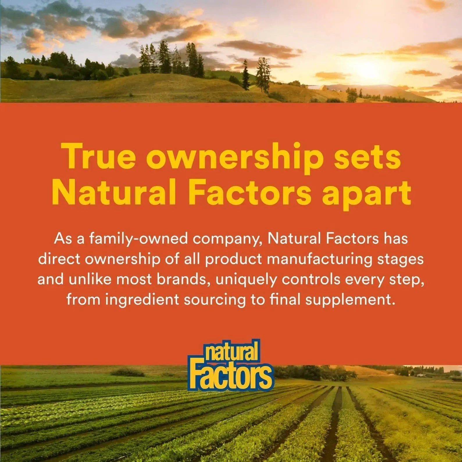 Natural Factors Hi Potency B Complex, 50 mg, 90 Capsules Natural Factors Au supplements