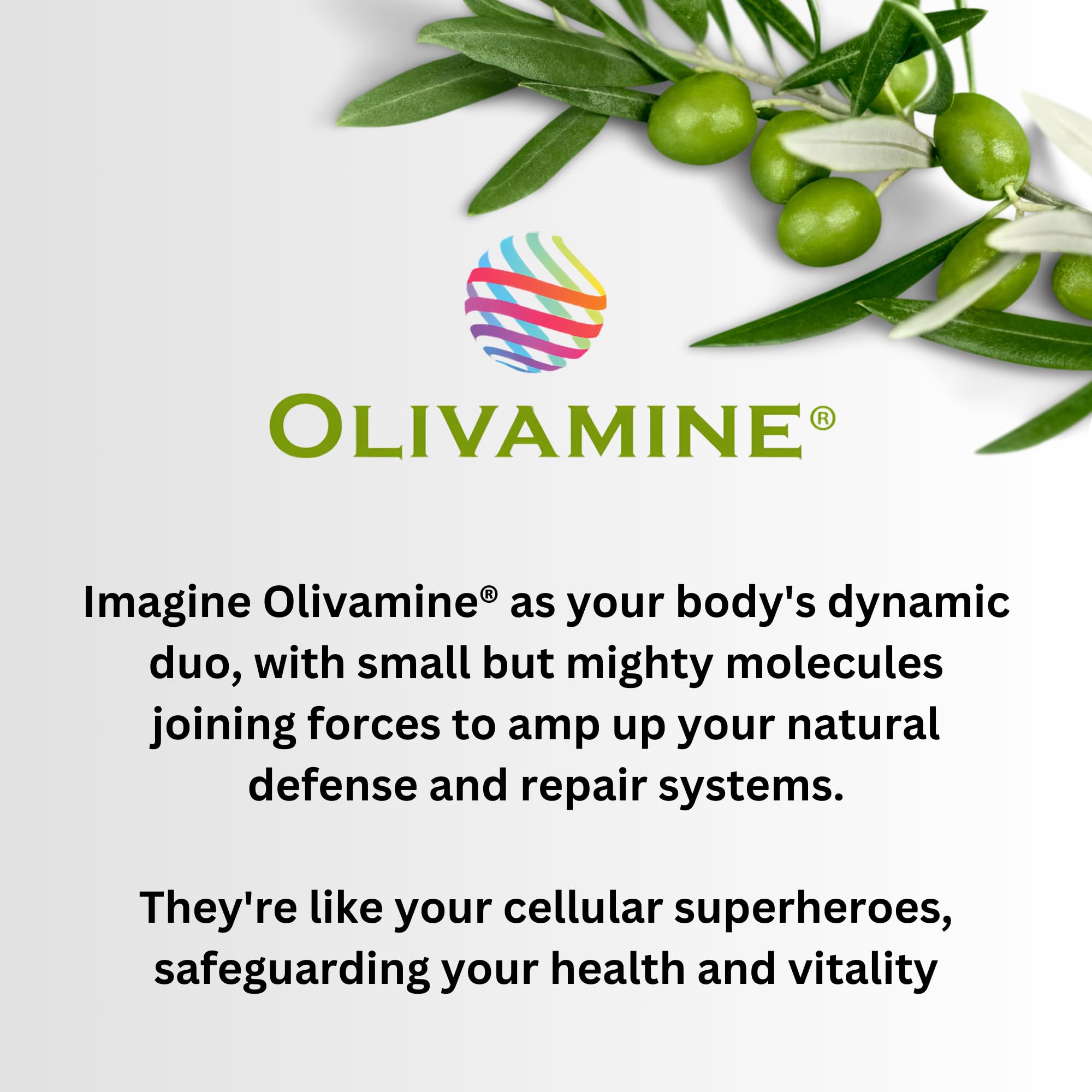 BrainHealth Brain Supplement - Amplify Memory, Increase Focus, Enhance Clarity & Gain Productivity For Men & Women, Olivamine, Vitamin D, Vitamin B6 & B12, Rhodiola Rosea, Magnesium, Taurine Pinnaclife Au supplements