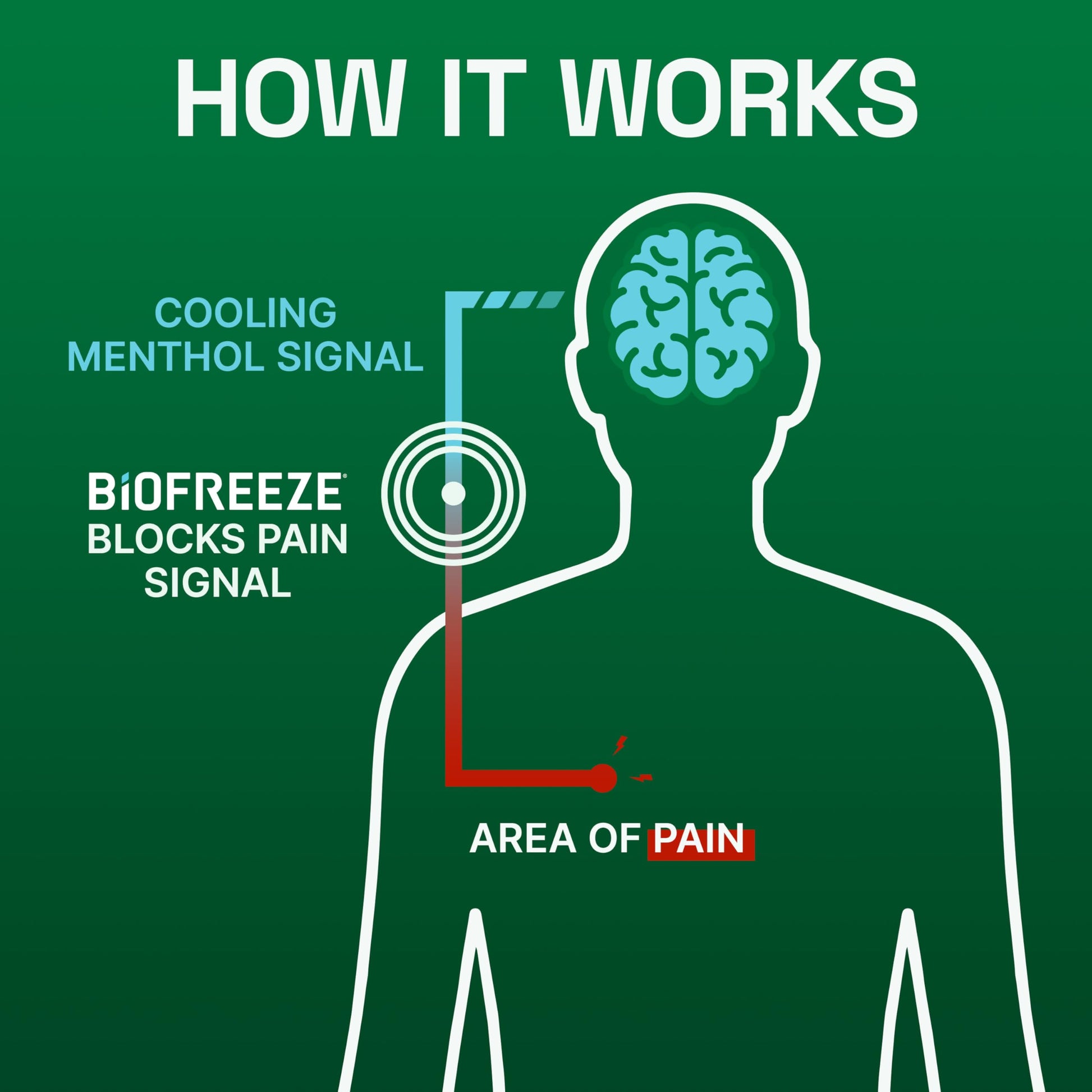 Biofreeze Pain Relief Gel, Arthritis Pain Reliver, Knee & Lower Back Pain Relief, Sore Muscle Relief, Neck Pain Relief, Pharmacist Recommended, 8 FL OZ Biofreeze Menthol Gel Biofreeze Au supplements