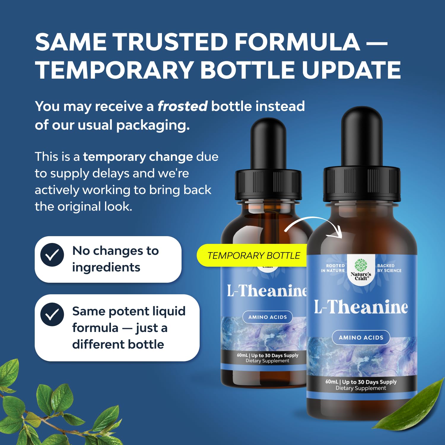 High Absorption L-Theanine Liquid Drops - Nootropic Focus Supplement with L Theanine 200mg Per Serving and Chamomile Extract Supplement for Adults and Kids Relaxation and Focus - 2 Fl Oz Natures Craft Au supplements