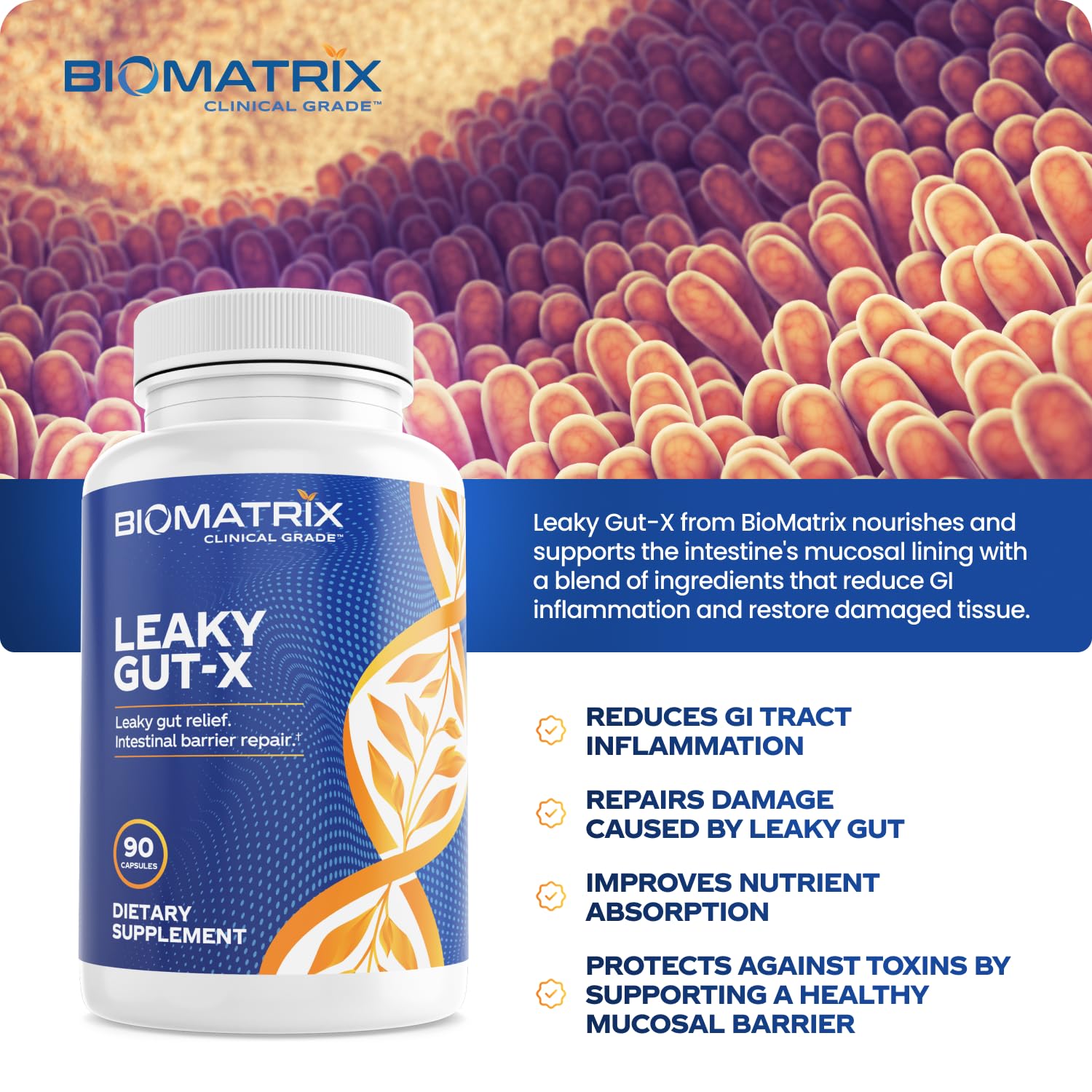BioMatrix Leaky Gut Repair Supplement w/Glutamine, Quercetin, Cat's Claw, MSM, SIBO, Prebiotic Support, Intestinal Barrier Revive for Men and Women | 60-Day Supply – Leaky Gut-X BioMatrix Au supplements