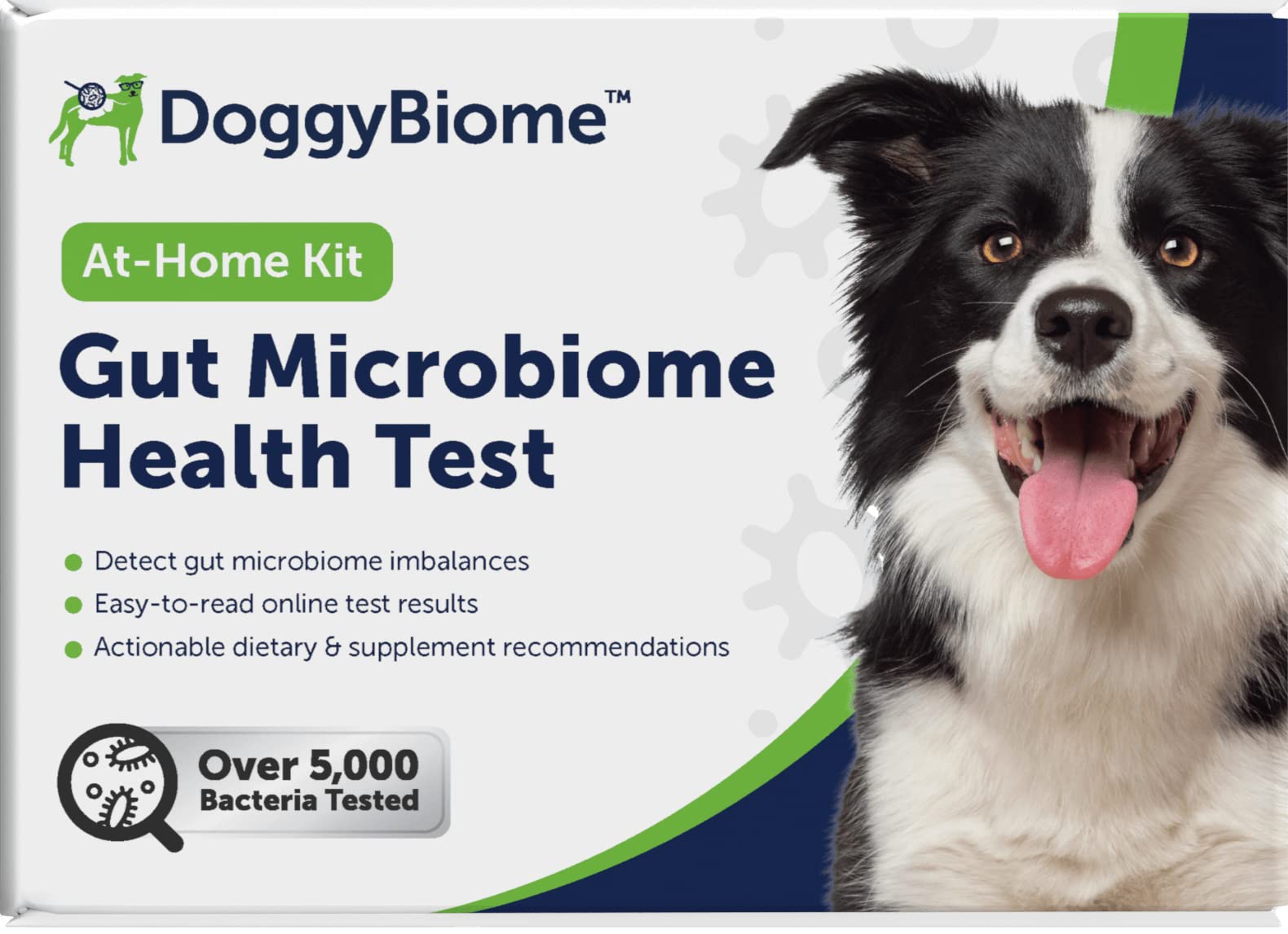 AnimalBiome Dog Gut Health Test – DoggyBiome At Home Stool Testing Kit, Canine Fecal Analysis for Digestive Issues, Diarrhea & Allergy Insights w/Personalized Report & Custom Plan (Dogs in US) AnimalBiome Au supplements