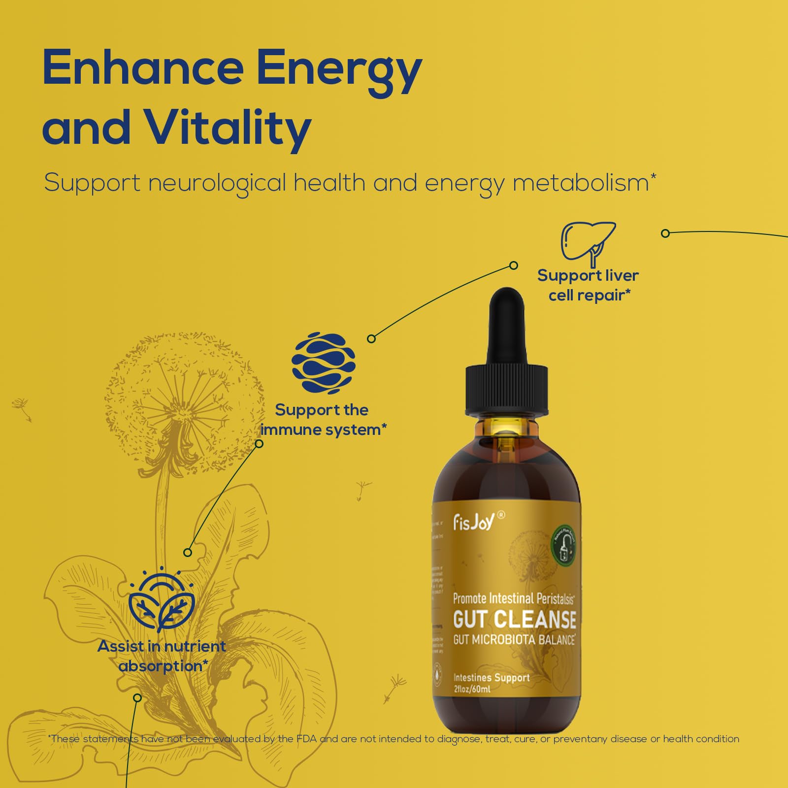 Fisjoy L-Carnitine & Herbal Liquid Drops – Gentle Daily Digestive Support with Pumpkin Seed, Clove & PAU D’Arco Extracts, Folate & Chromium, Vegan, Sugar-Free, 2 fl oz (60 mL) Fisjoy Au supplements