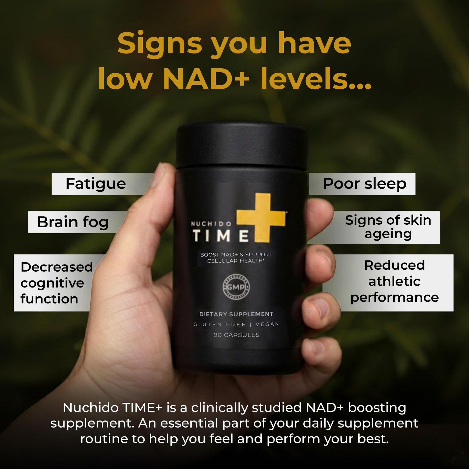 Nuchido Time+ NAD Supplement for Men & Women - Advanced Formula for Healthy Aging, Energy, Focus, Cellular Health & Longevity - Nicotinamide, Alpha Lipoic Acid, Quercetin - 90 Capsules Nuchido Time+ Au supplements