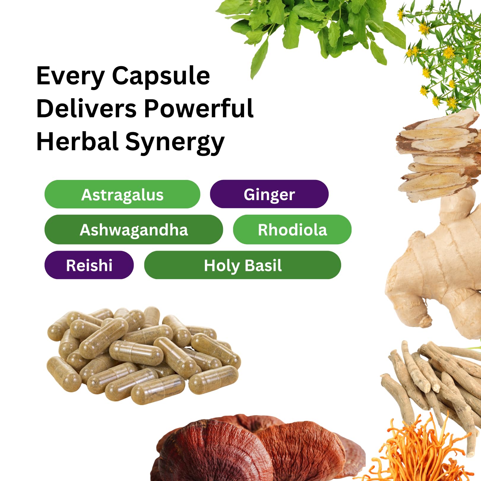 Paradise Herbs, Imperial Adaptogens, with Ashwagandha, Astragalus, Rhodiola, Proprietary Adaptogen Blend for Stress Support, Focus & Energy, 60 Vegetarian Capsules Paradise Herbs Au supplements