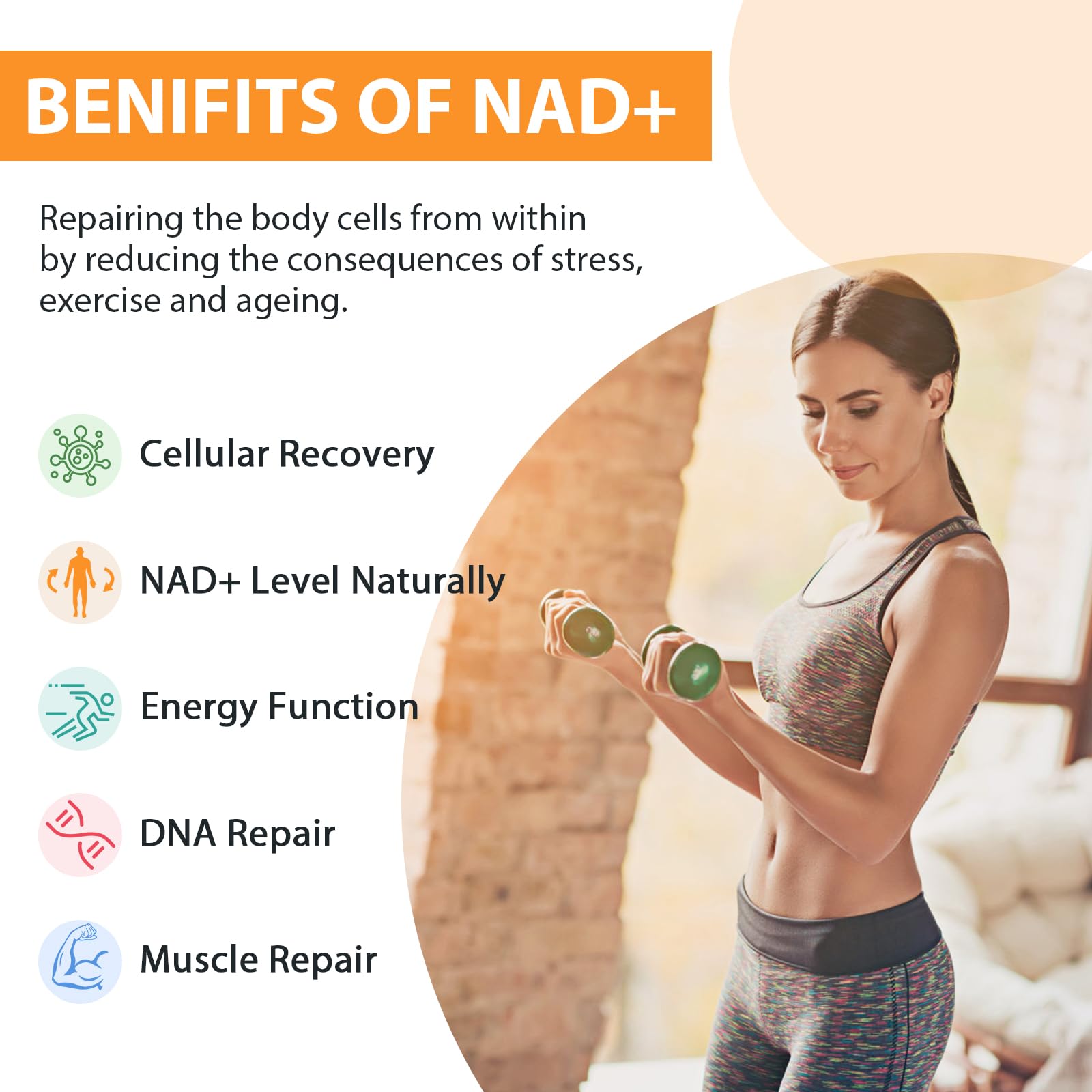 Orgabay Liposomal NAD+ Supplement 500 mg, High Absorption, Boost NAD+ with TMG 250 mg, Actual NAD Plus More Efficient Than Nicotinamide Riboside, Support Cellular Energy, Healthy Aging | 60 Softgels Orgabay Au supplements