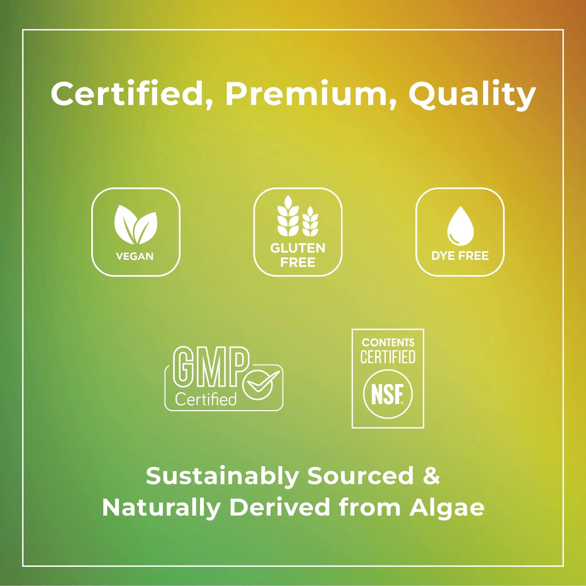 Theralogix PhytoLife Omega - 90-Day Supply - Vegan Algae Omega-3 Supplement Theralogix Au supplements