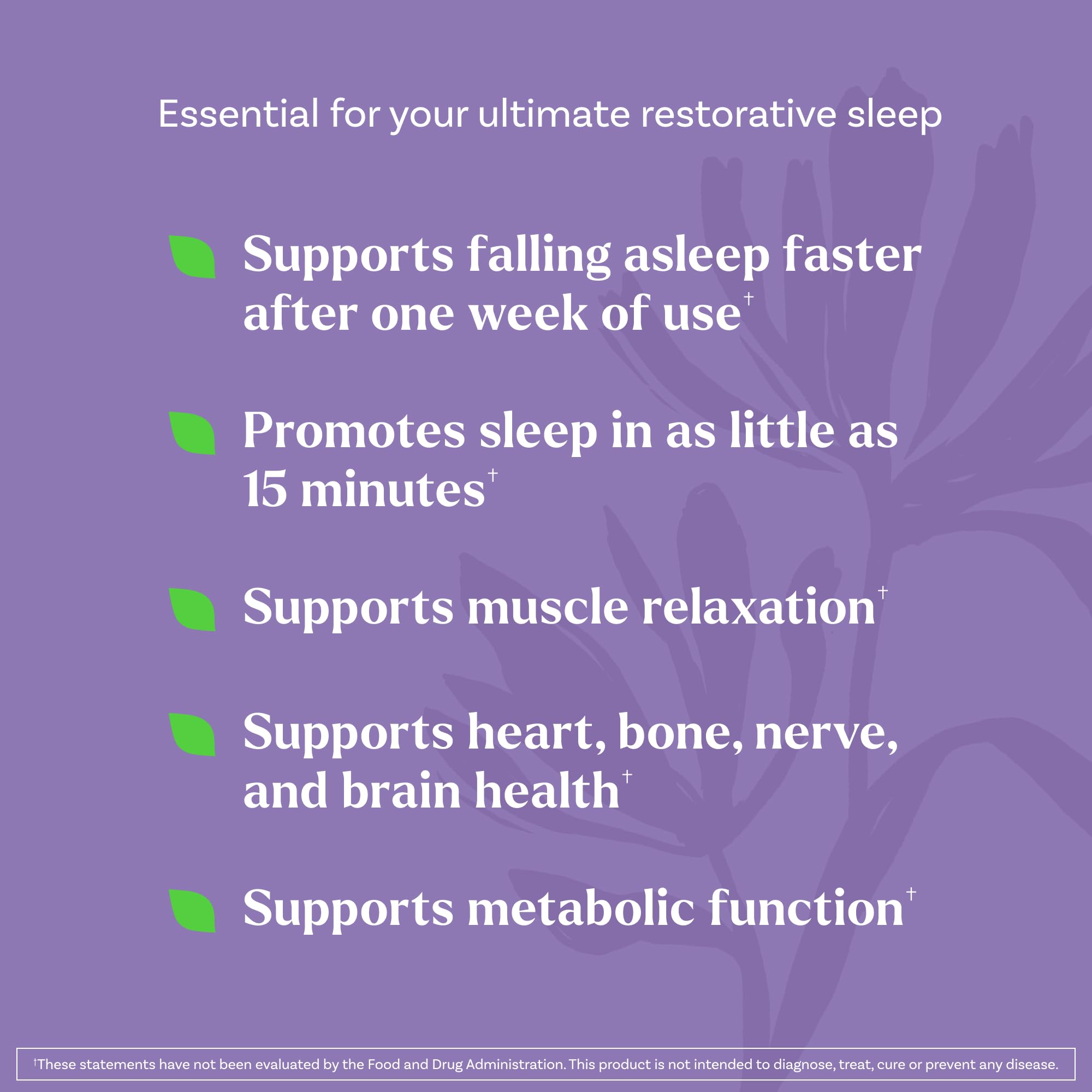 Natrol Sleep & Restore Capsules - Calm Magnesium Glycinate, Magnesium Sleep Aid with GABA, Melatonin 5mg, Botanical Blend, 30 Day Supply Natrol Au supplements